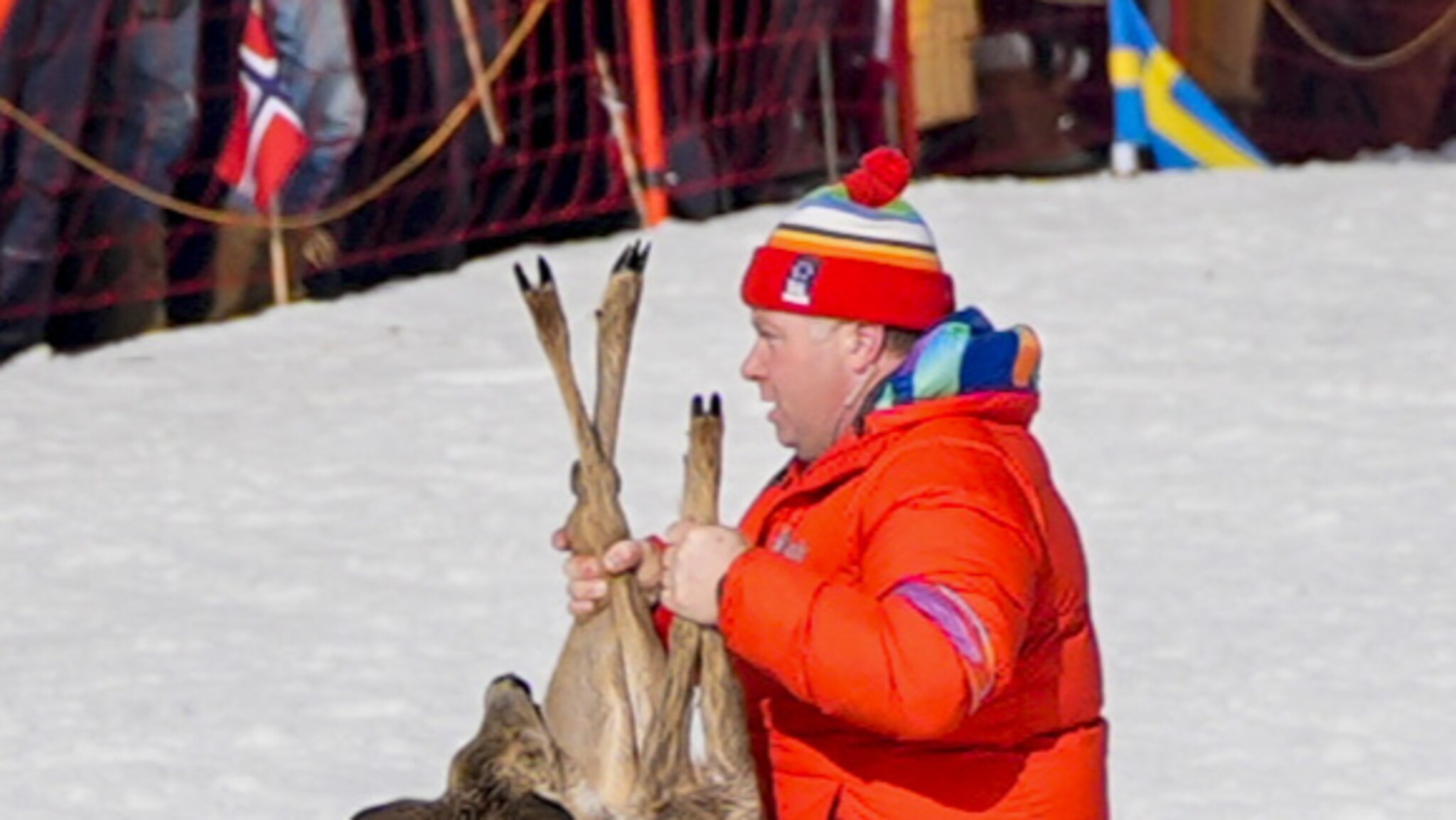 Dukket opp under femmila