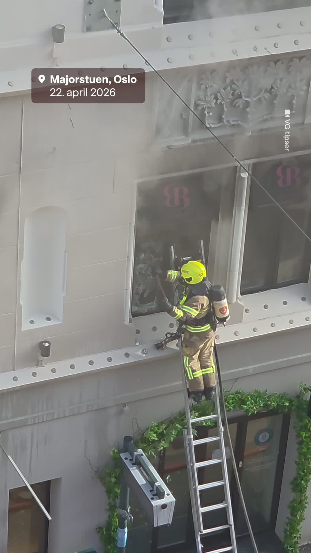 Kraftig brann hos brun og blid