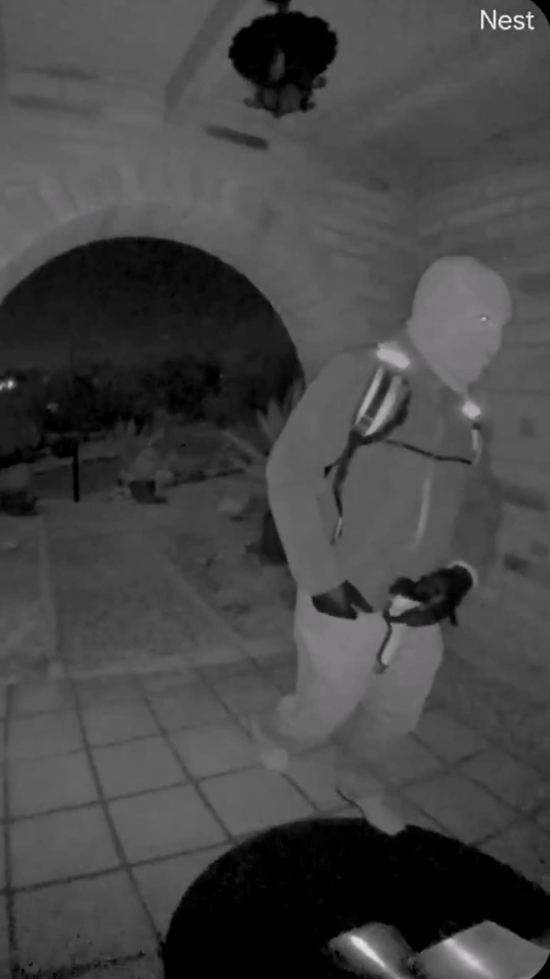 FBI slipper video av antatte kidnappere før Nancy Guthrie forsvant