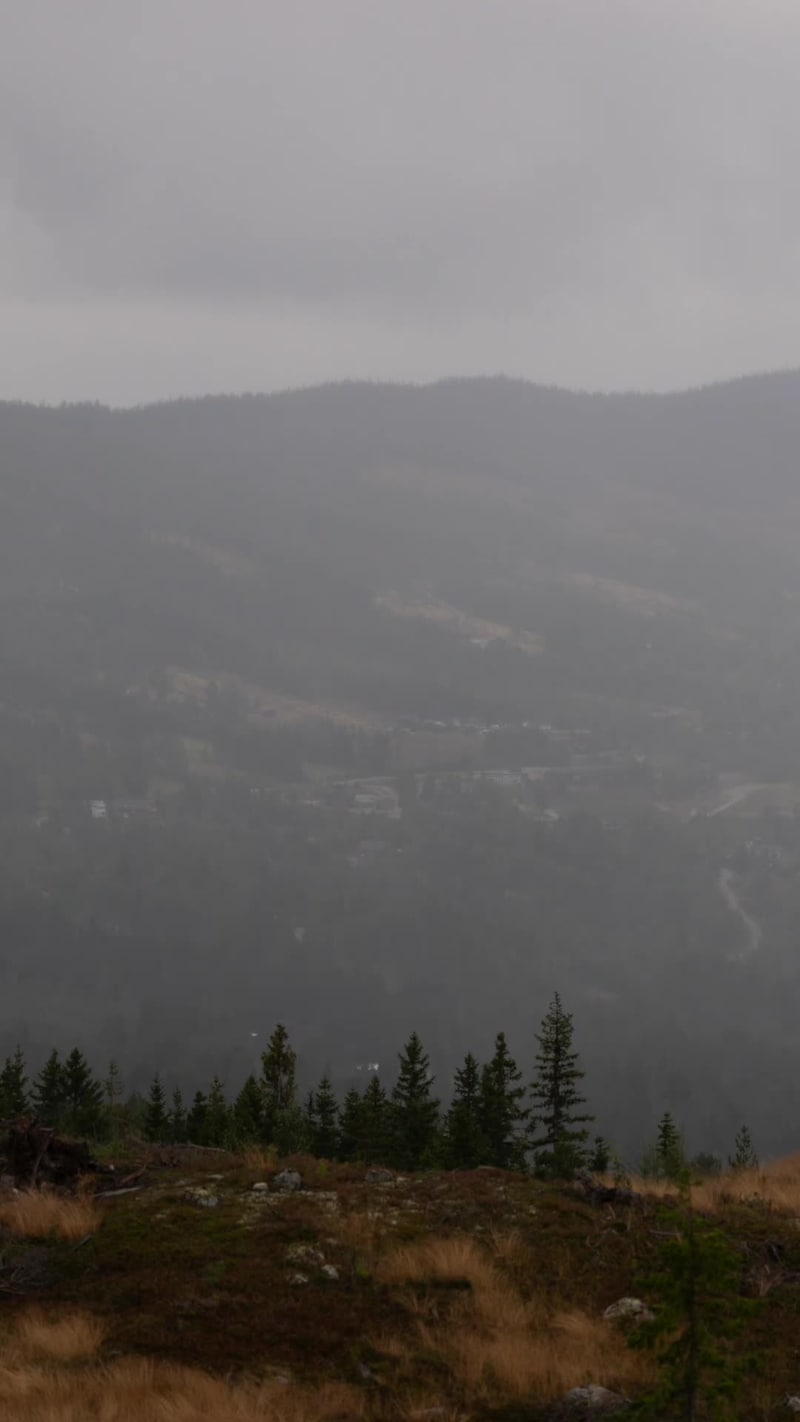 Gåten fra Hedalen
