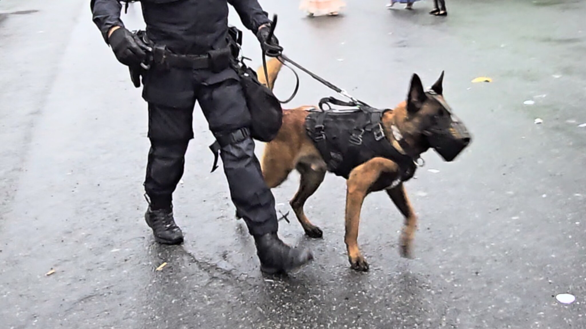 Foreldre tiltalt for planlagt barneekteskap i Oslo