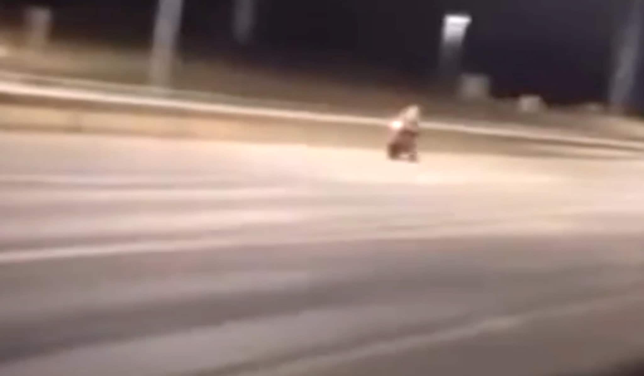 18-åring mistet lappen etter 160 km/t i 60-sone
