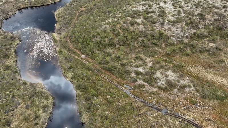 Advarer mot kjøring i naturen: – Hele områder har blitt ødelagt