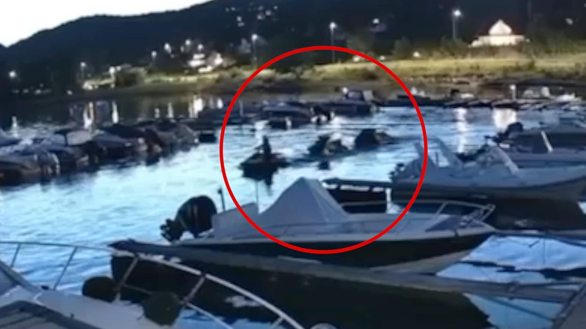 Plumbo-vokalistens vannscootere stjålet: Sporing ledet til pågripelse