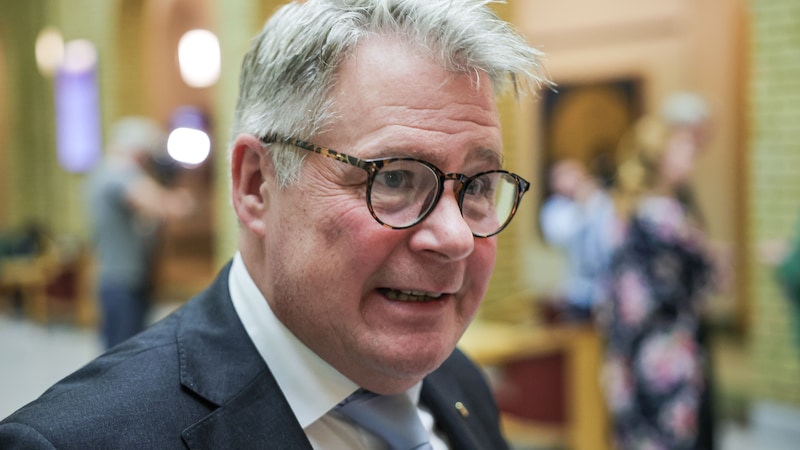 Kontroll­komiteen vil ha granskning av UD etter Epstein-avsløringer