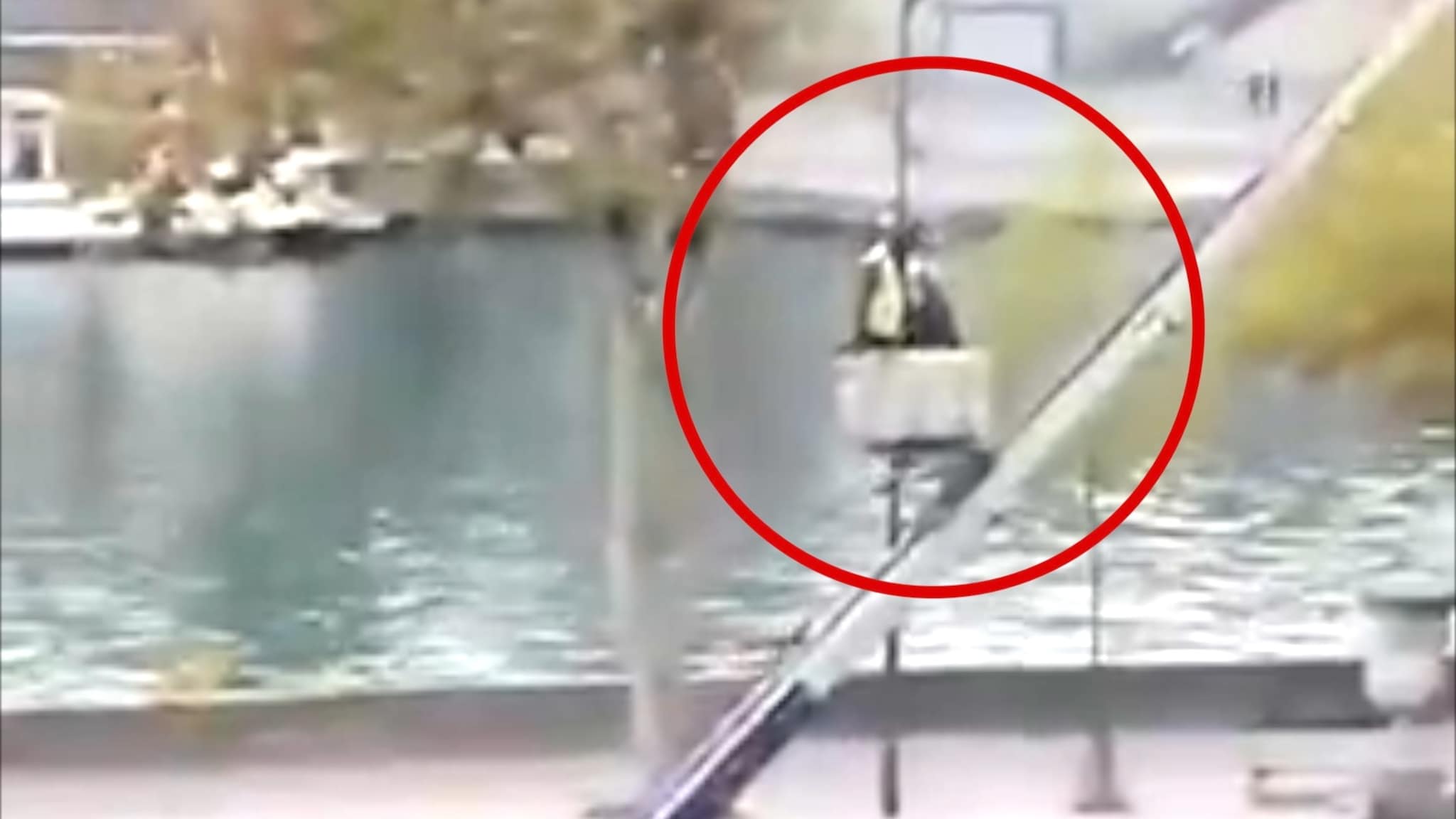 Sikkerhetsvakt siktet for Louvre-ranet: Stjal kronjuveler verdt 1 milliard