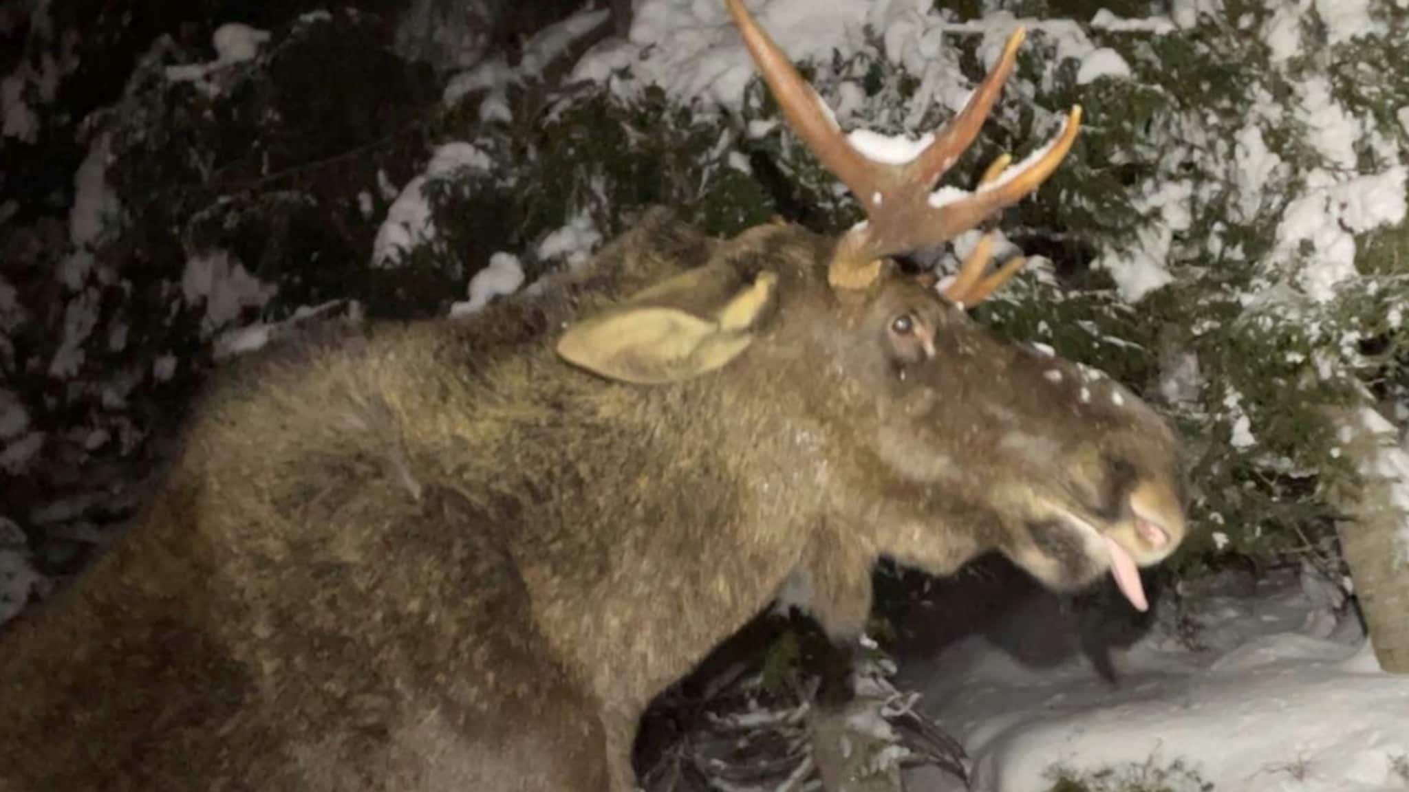 Trondheim: – Aldri vært så redd