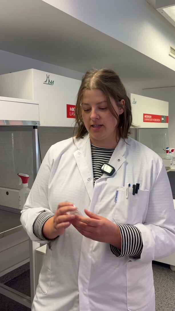 Ulovlige sprøyter tar av i sosiale medier: Nå blir unge kontaktet direkte  med tilbud om å kjøpe det