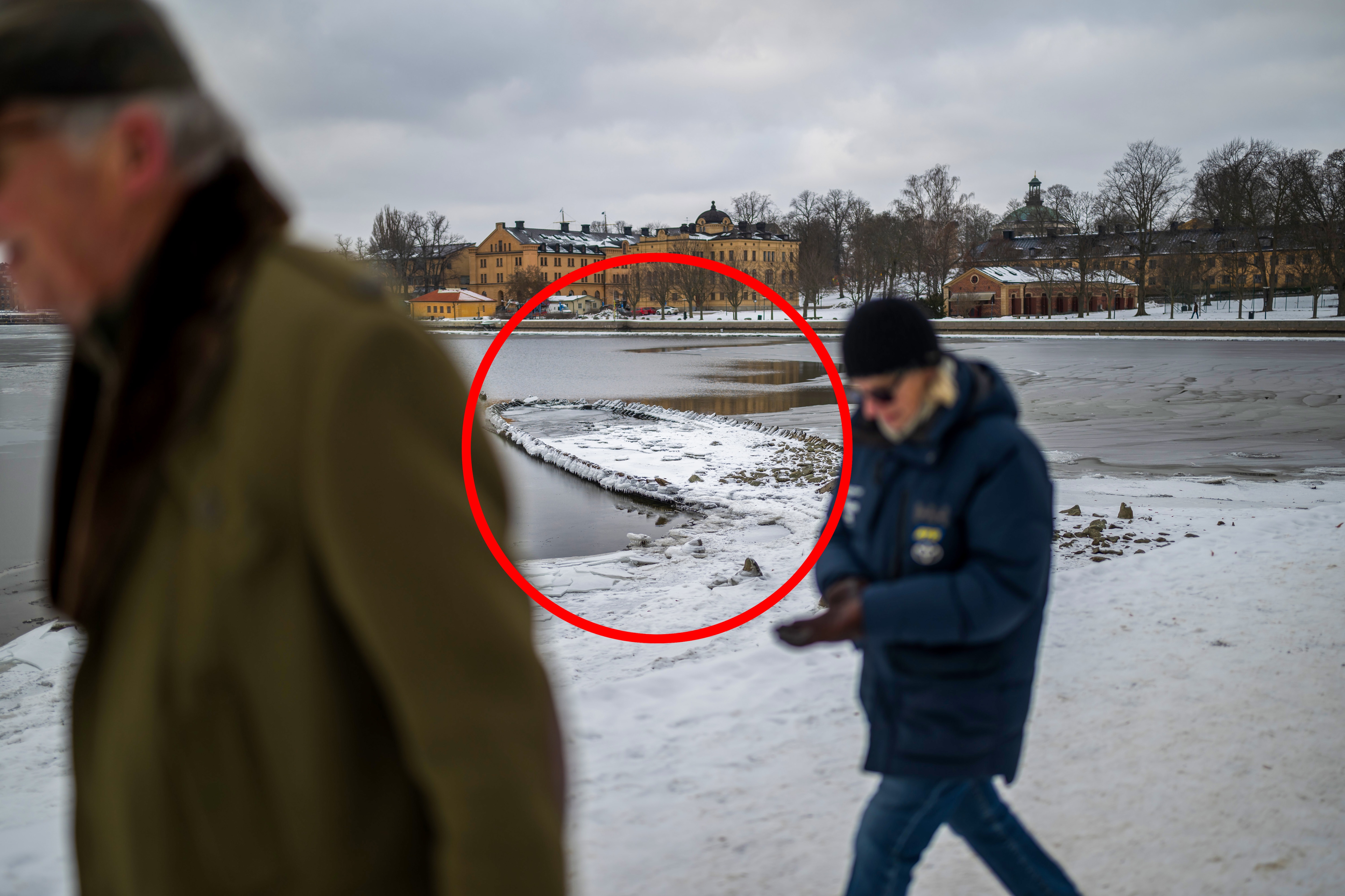 Dukket opp i Stockholm