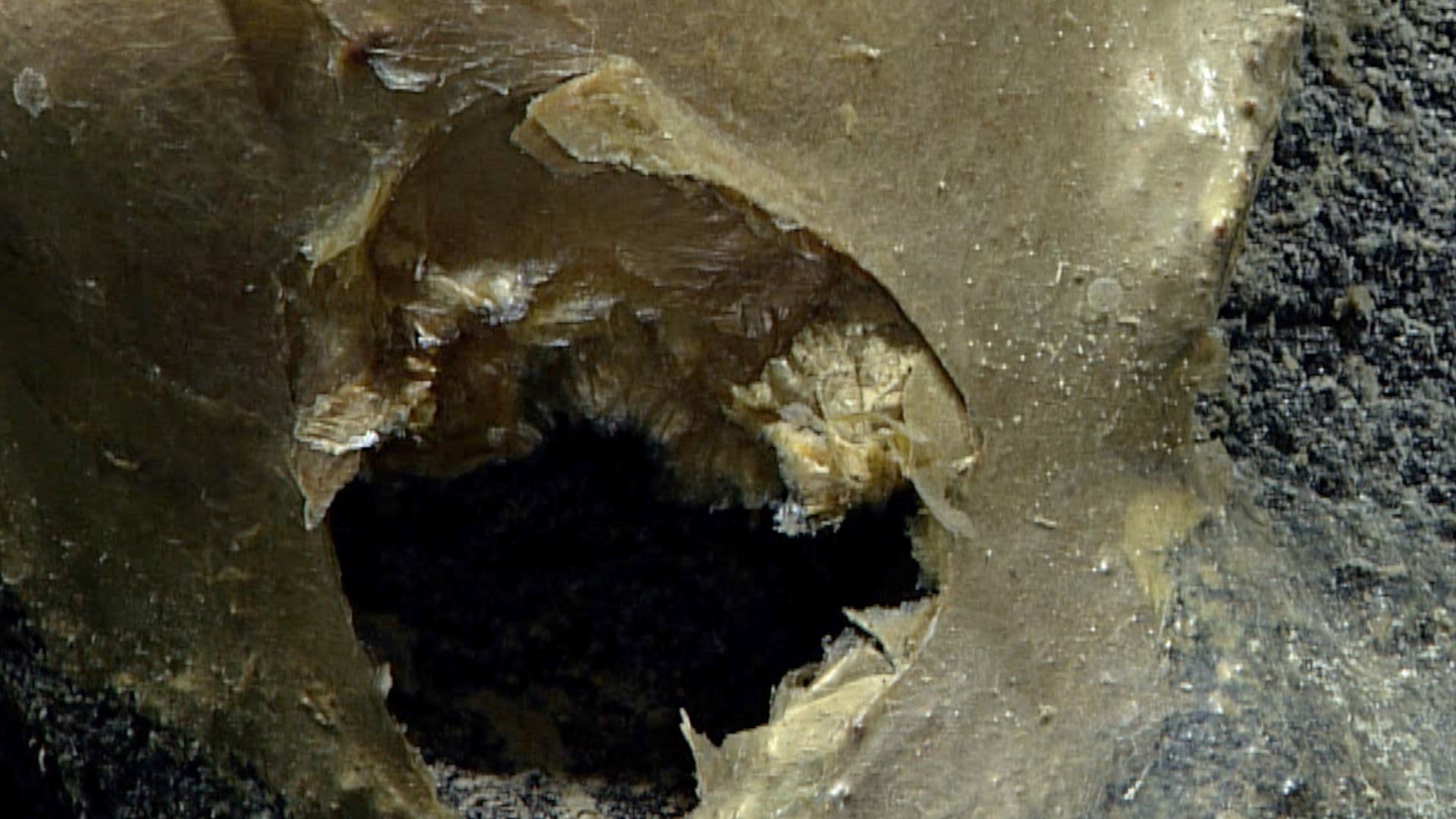 Mystisk funn på havbunn: – Noe rart