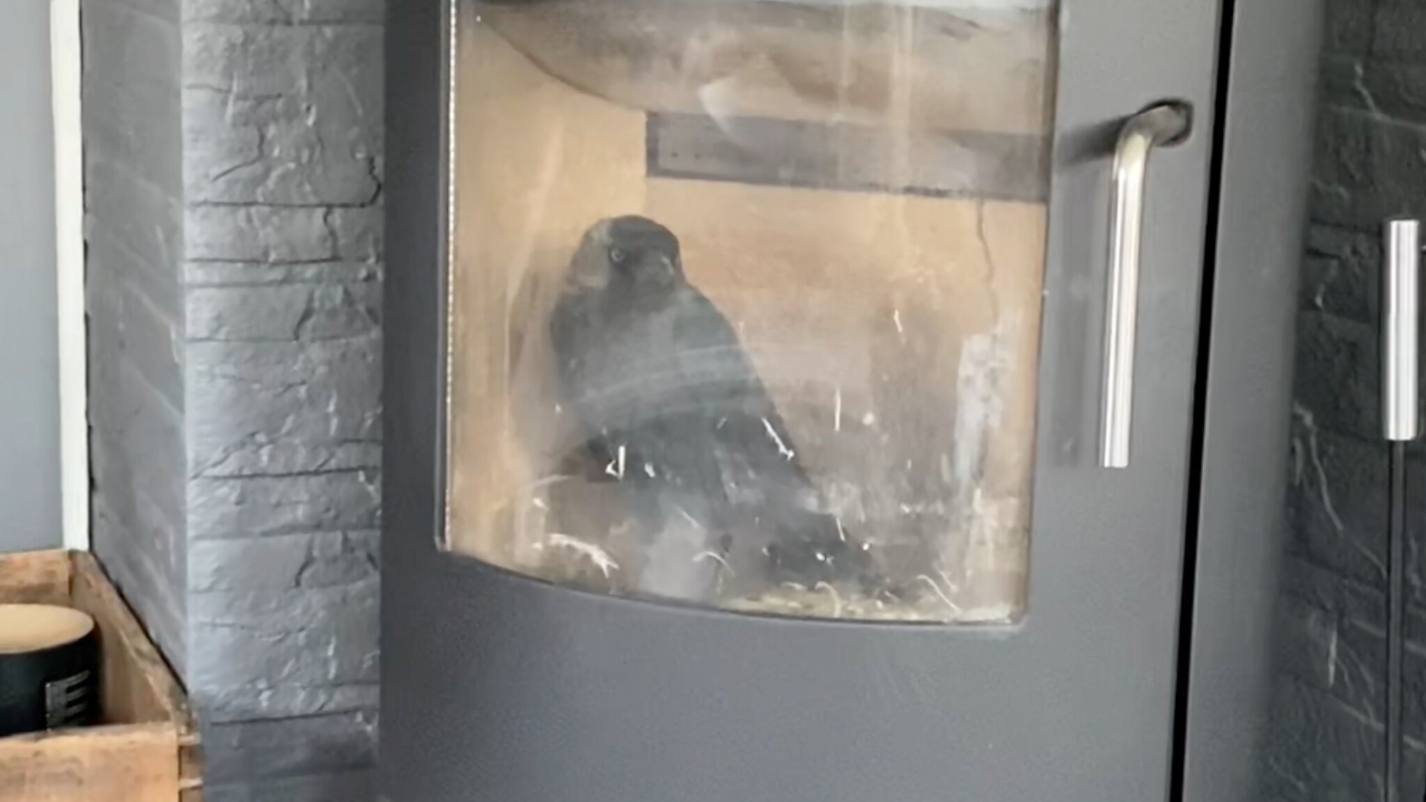 Fikk sjokk av det hun så i peisen