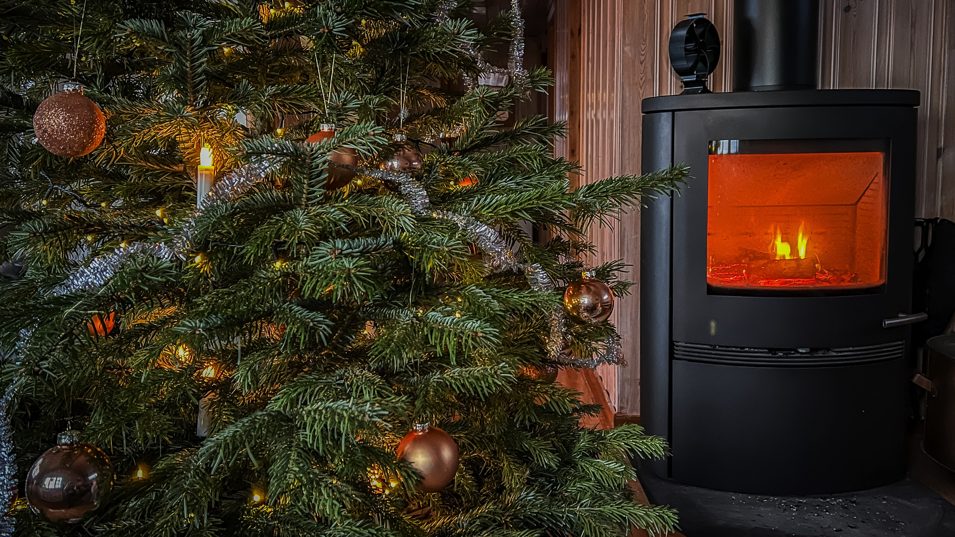 Siste nytt — 24. desember 2025