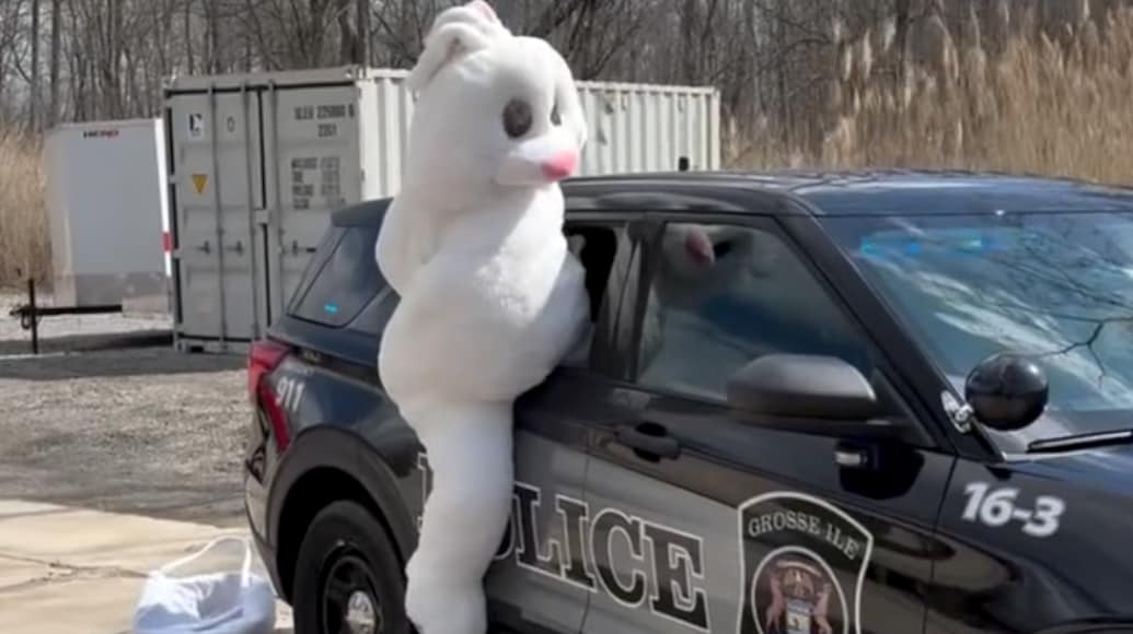 Rømte fra politibil – dette er politiets svar