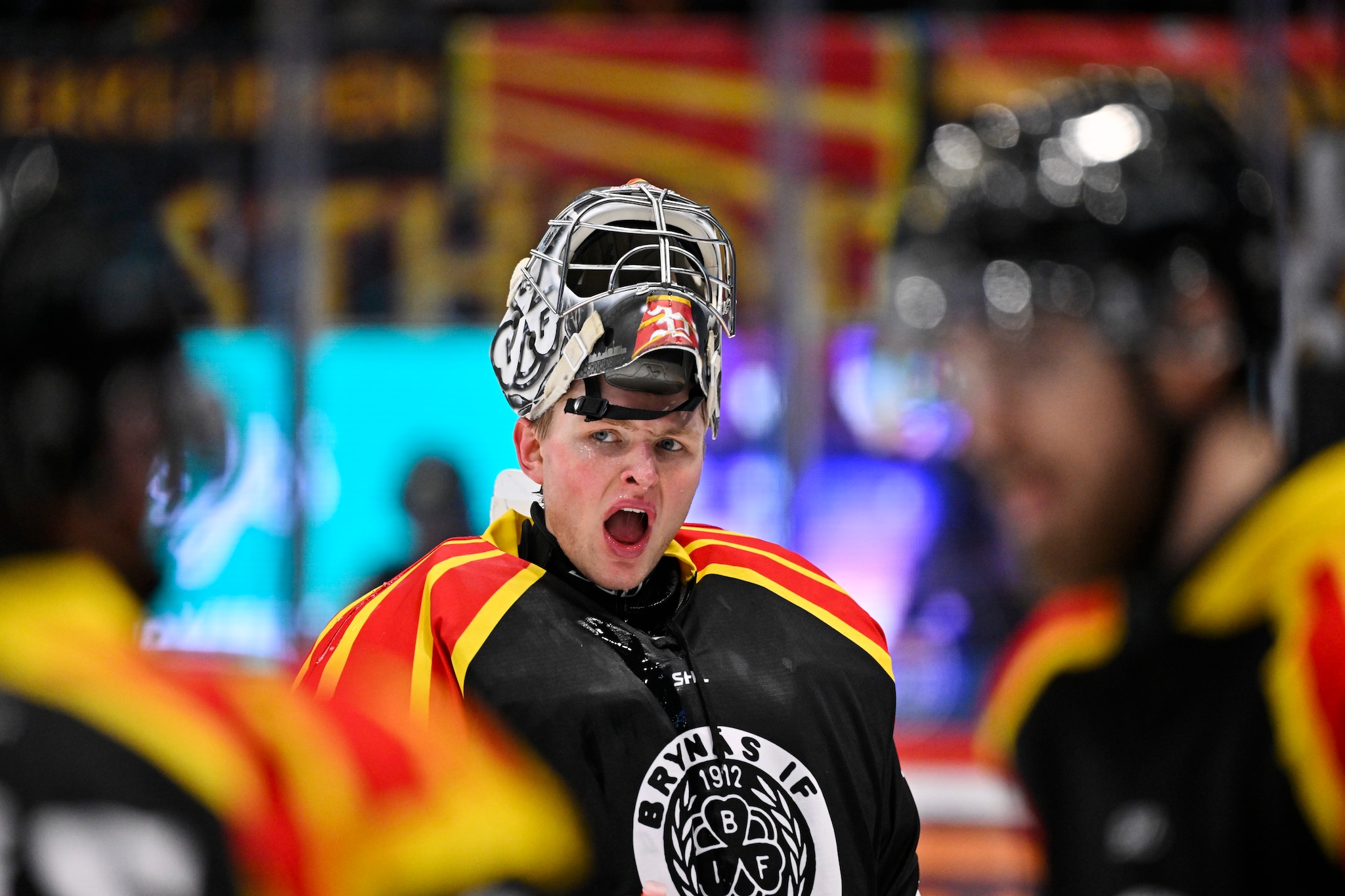 Brynäs – Malmö