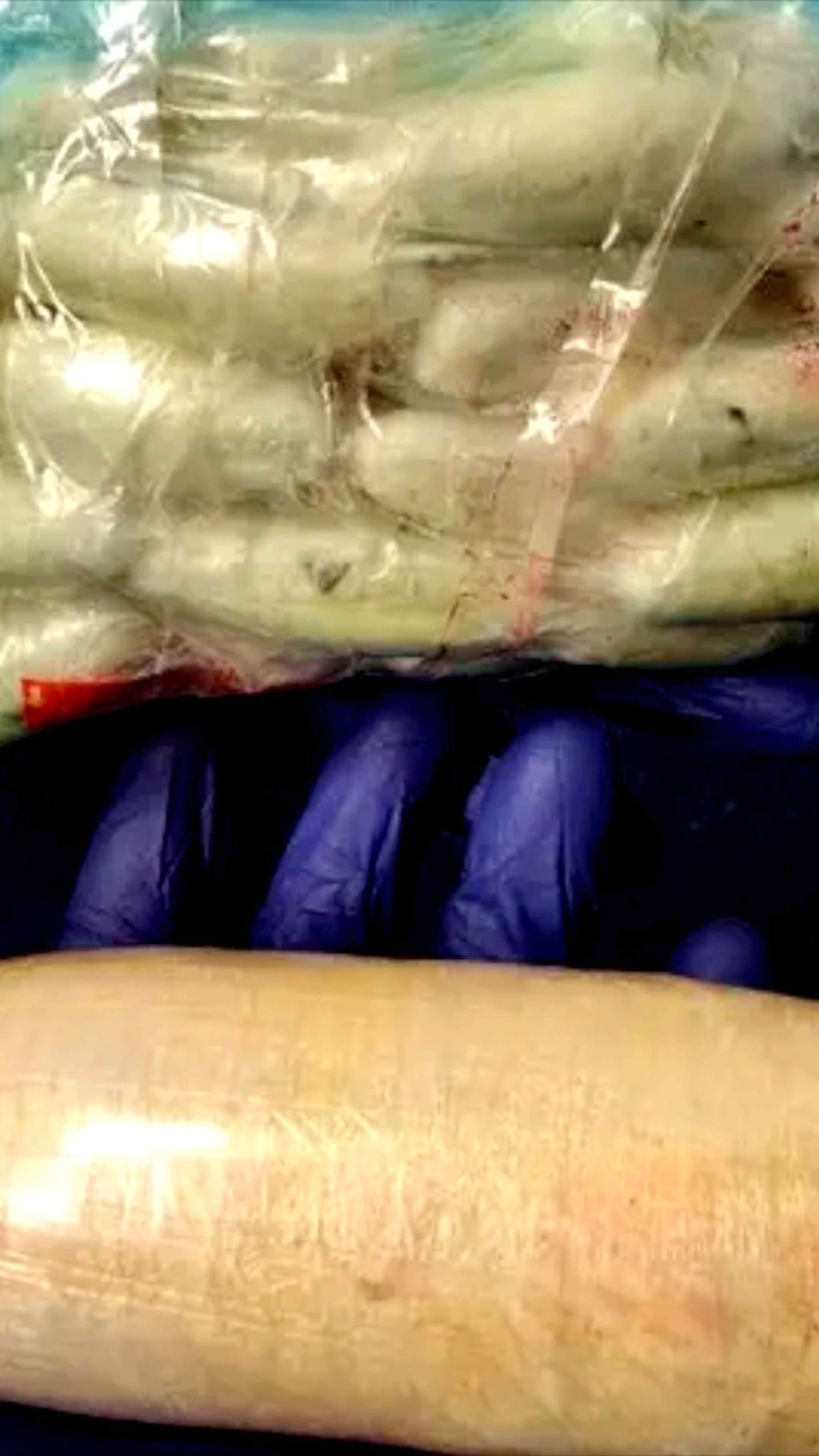 Lærere fant kokain på tur med førsteklassinger på Fauske