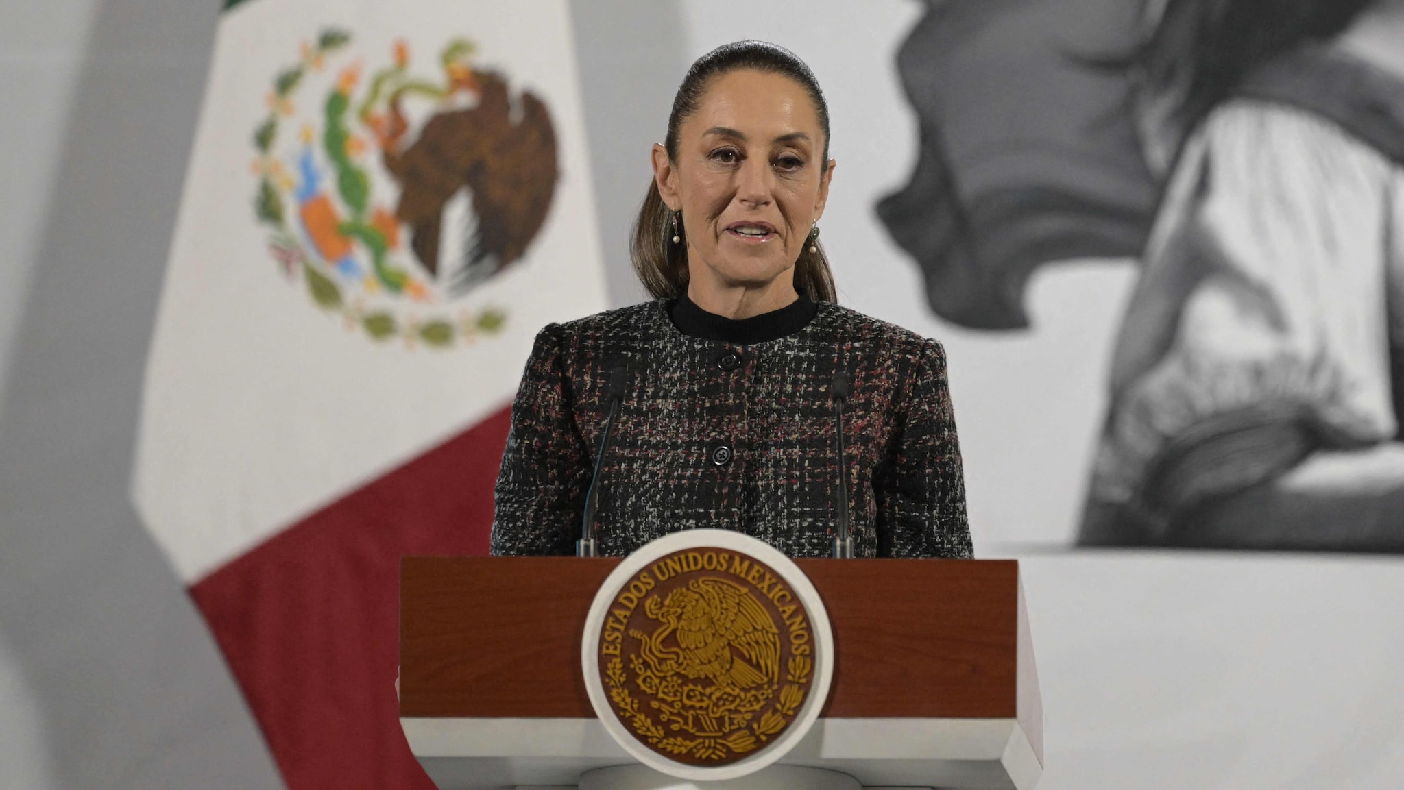 Mexicos President svarer på Trumps tollsatser