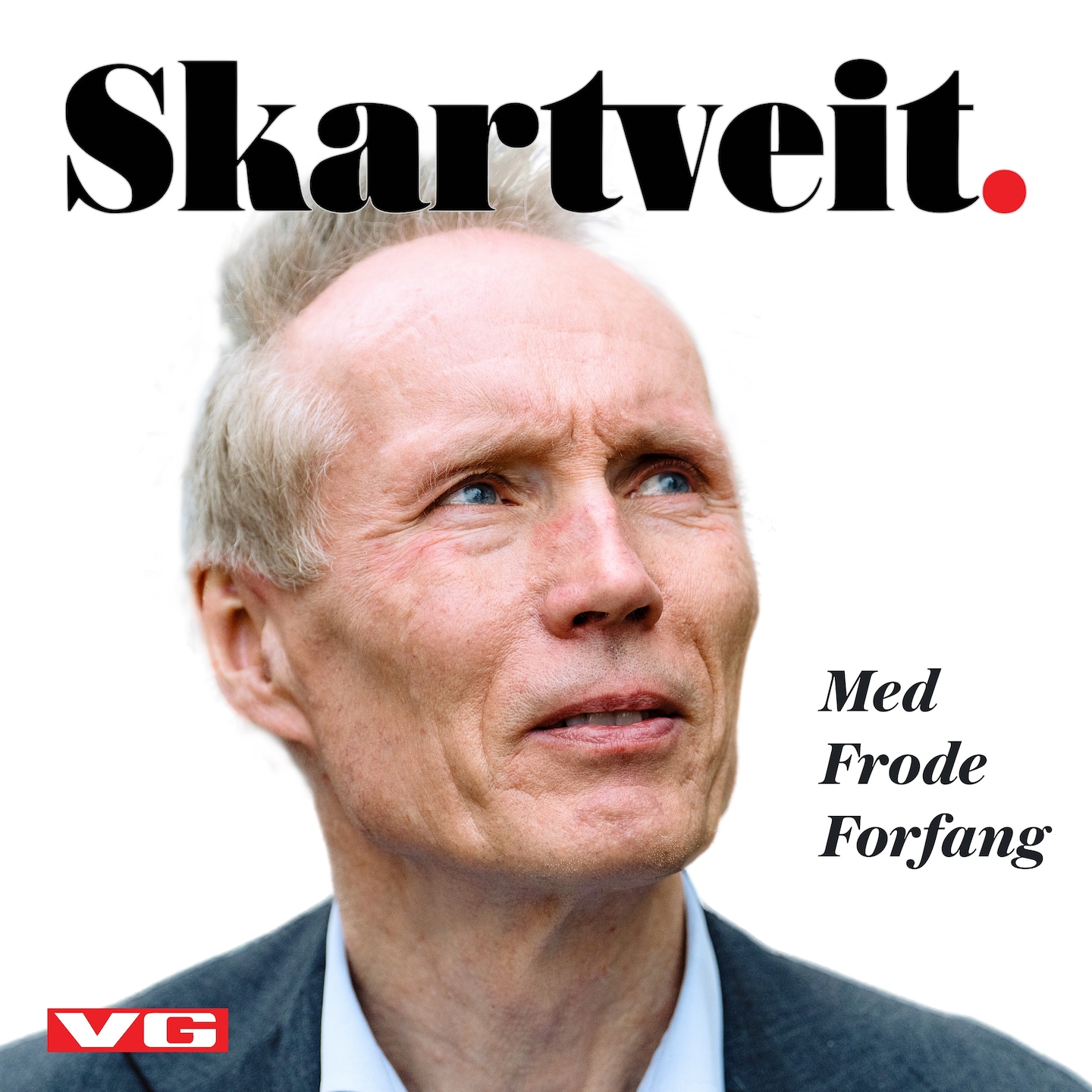 Skartveit