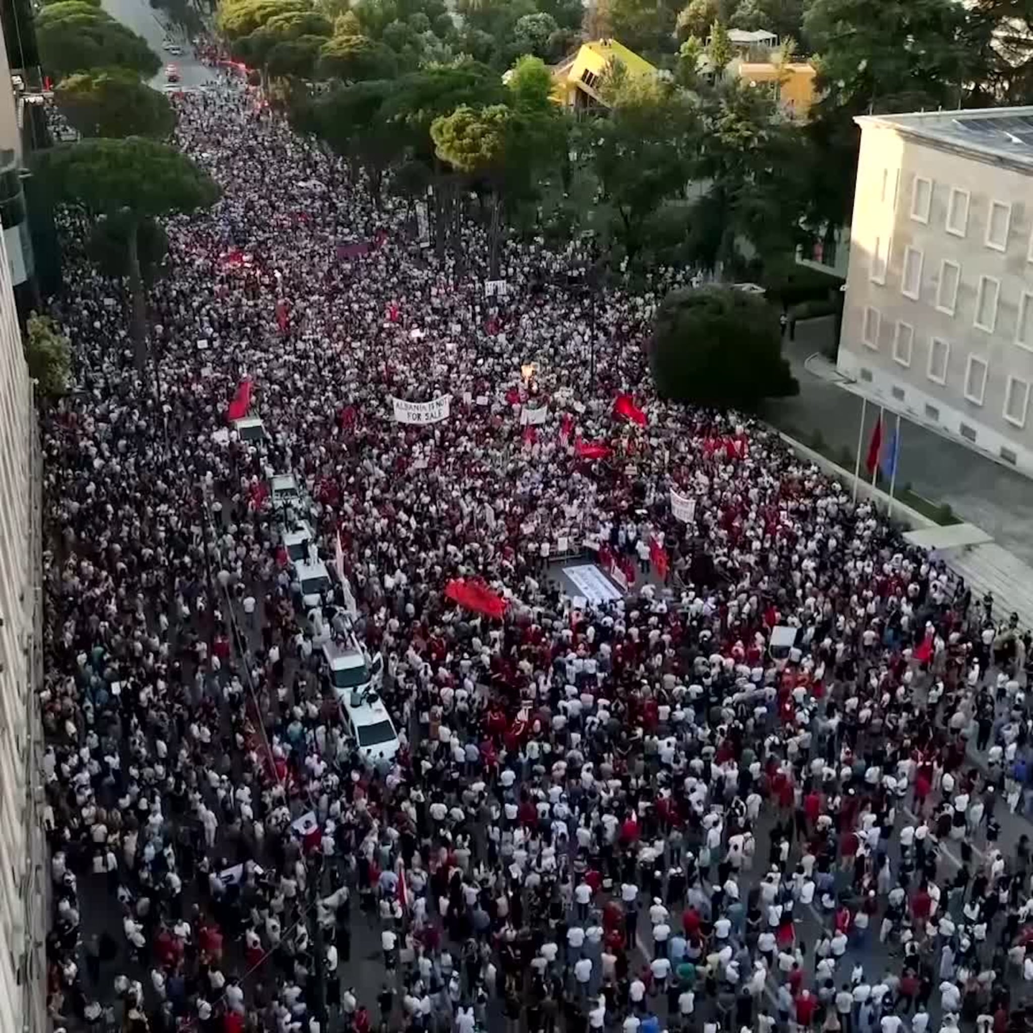 Trump-protest