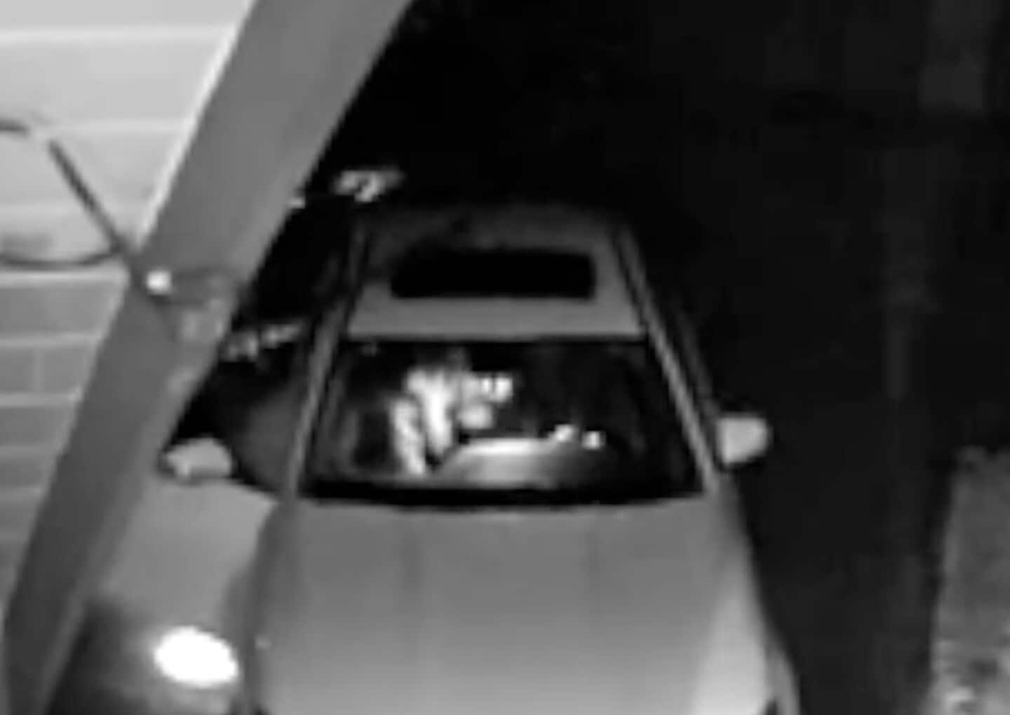 «Bjørn» brøt seg inn i bilen – Fikk 180 dager i fengsel