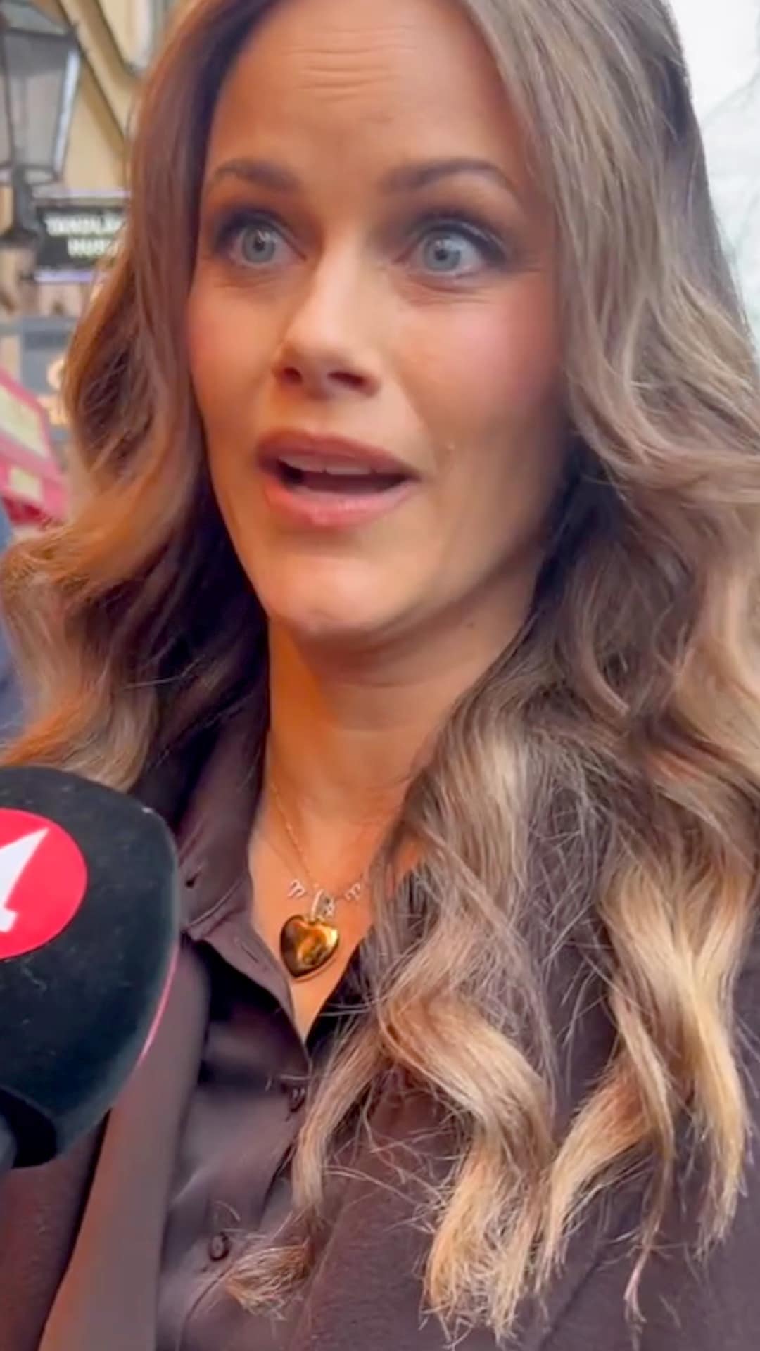 SE: Svenske prinsessen om Epstein-kontakten