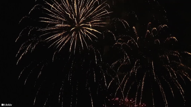 Slik gjør du hunden trygg på nyttårsaften