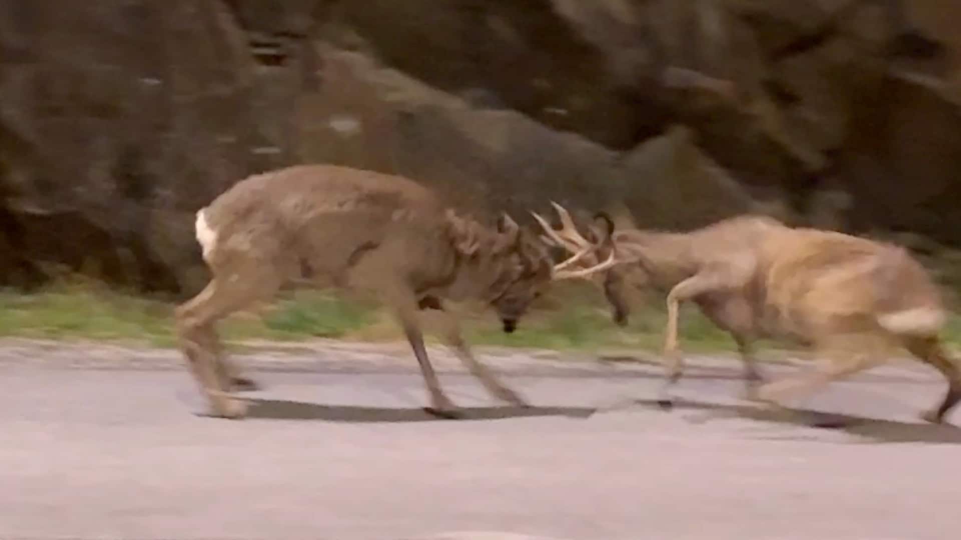 Follo: Barker sammen