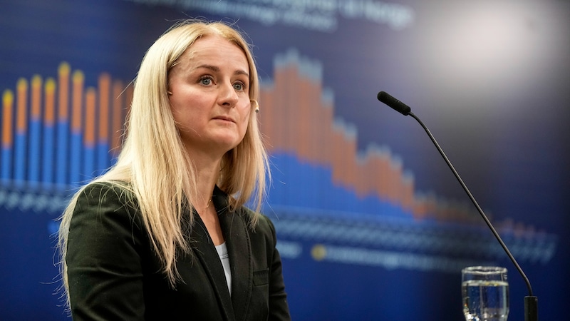 Adopsjonsrapport: - Det er alvorlige funn