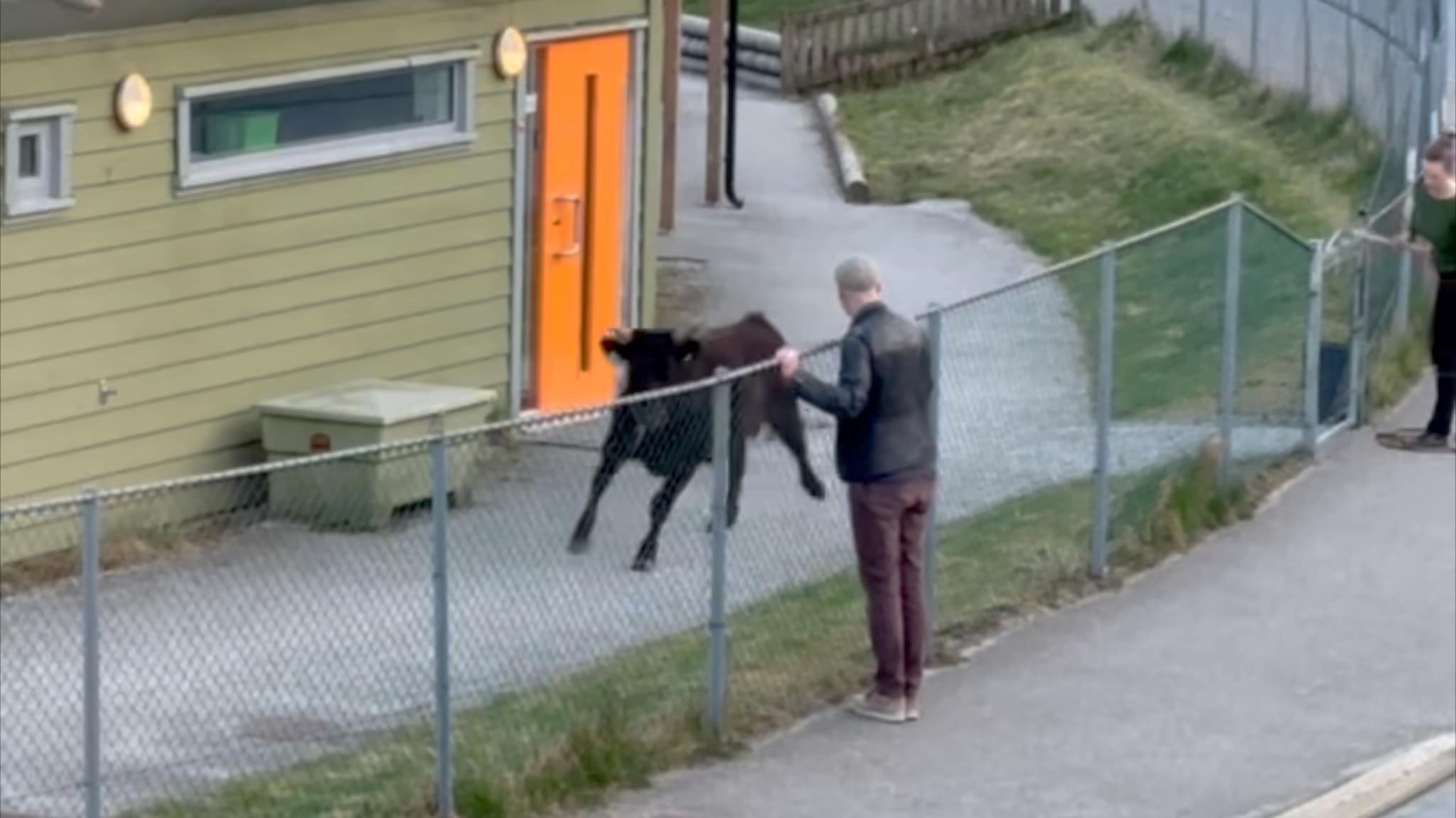 Rømte til barnehage