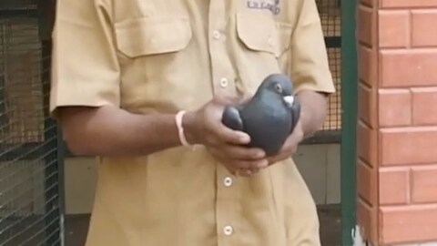 Mistenkt for å være spion