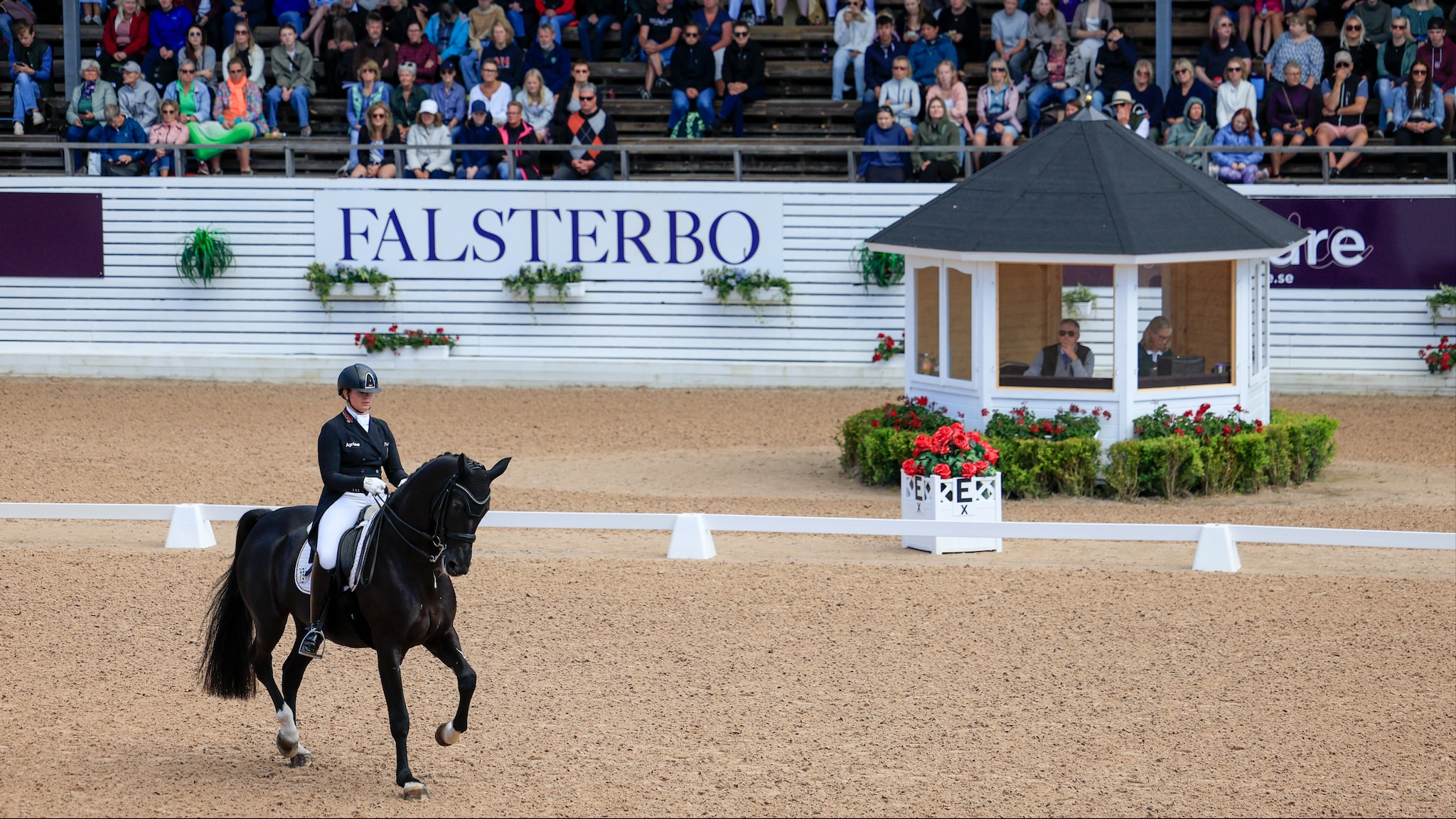 Longines Fei World Cup Dressage: Basel - Finale dag 2