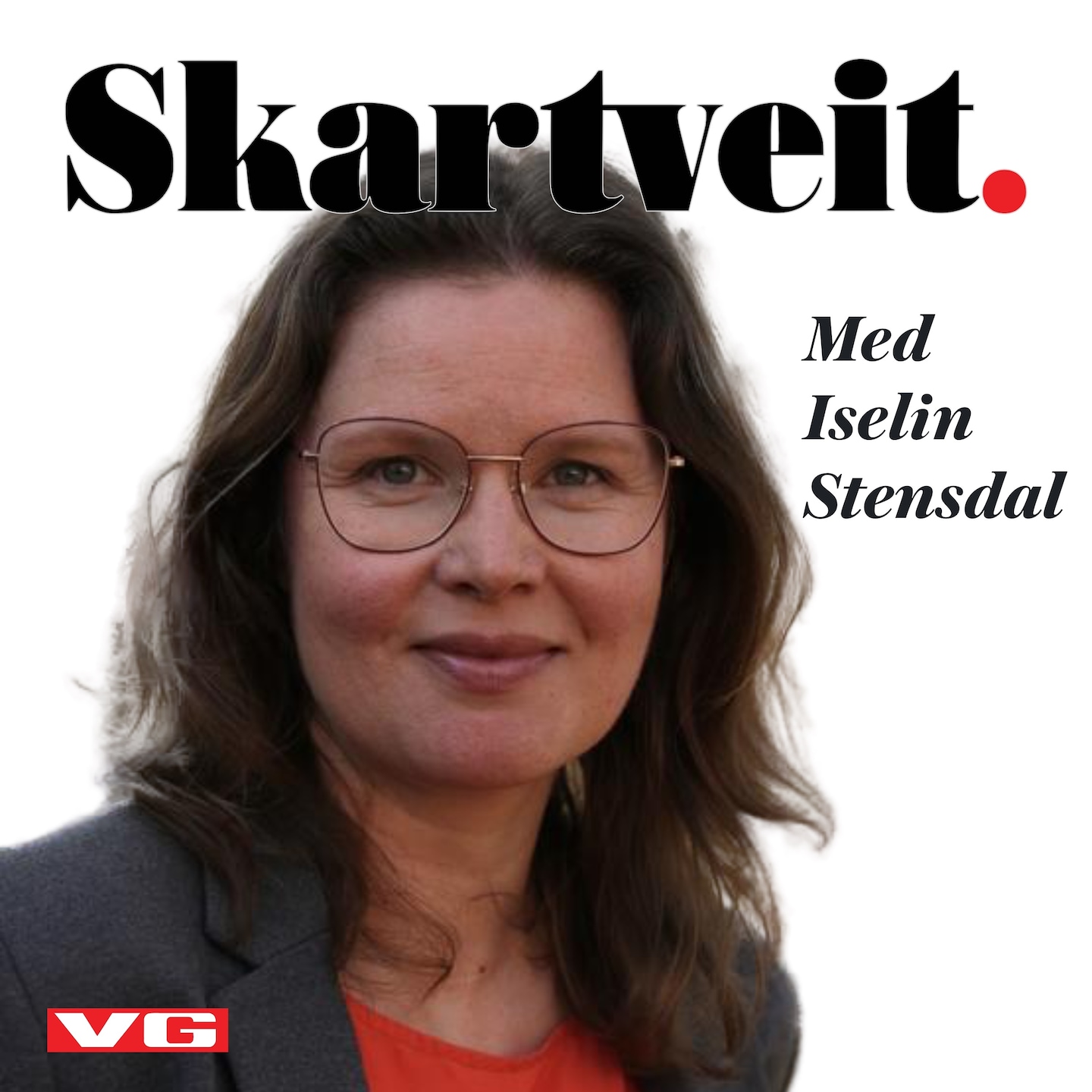 Taper vi det grønne skiftet mot Kina?