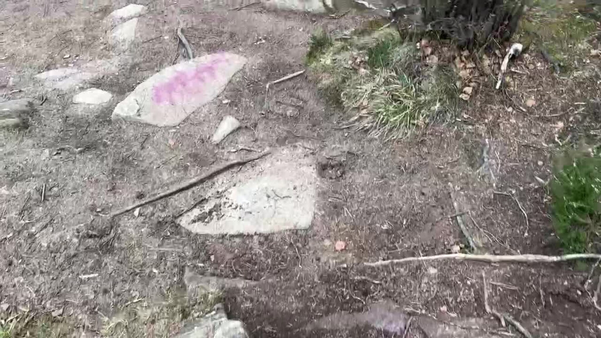 Spraymåling langs tursti