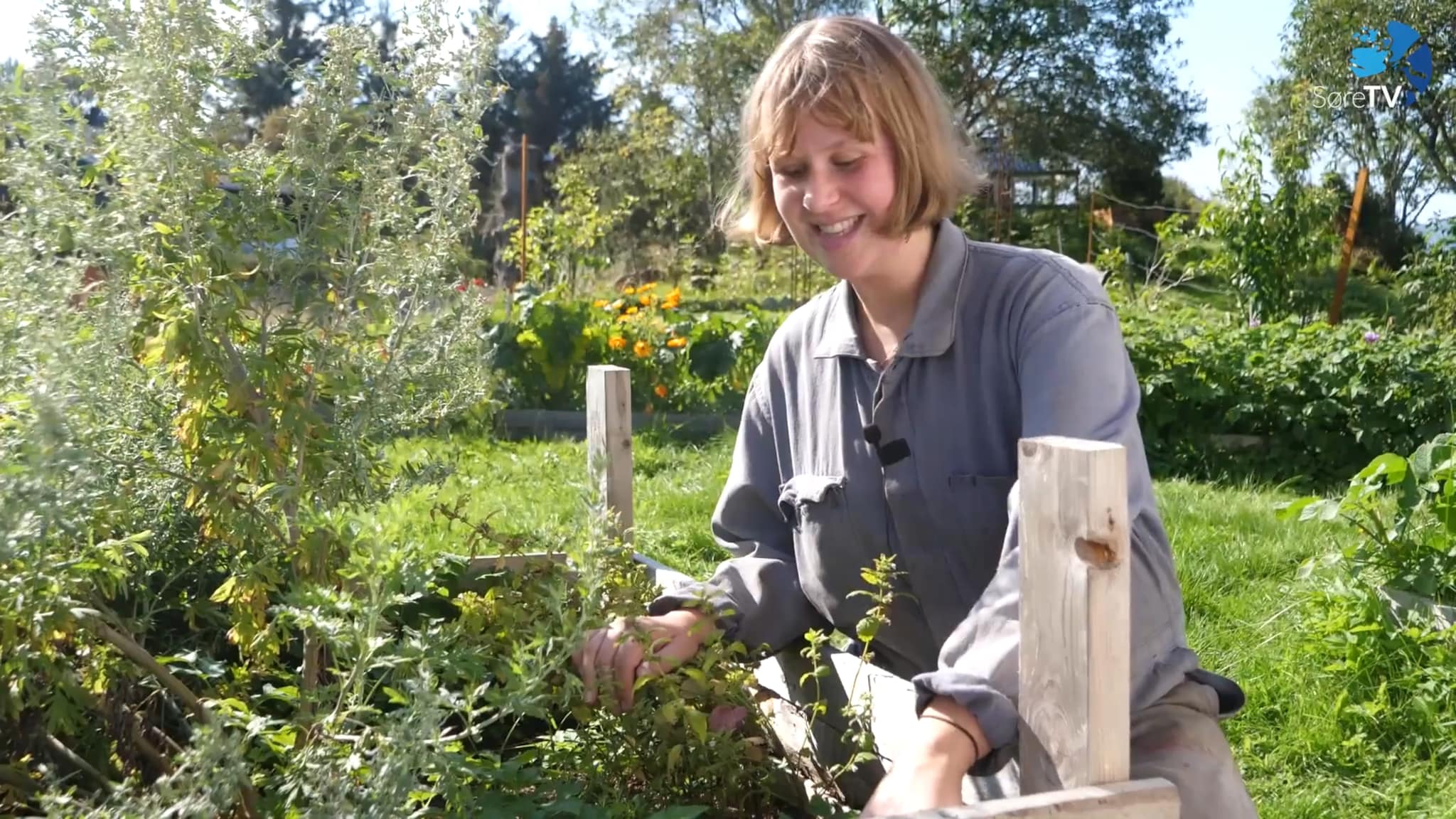 Her veks det meir enn berre planter