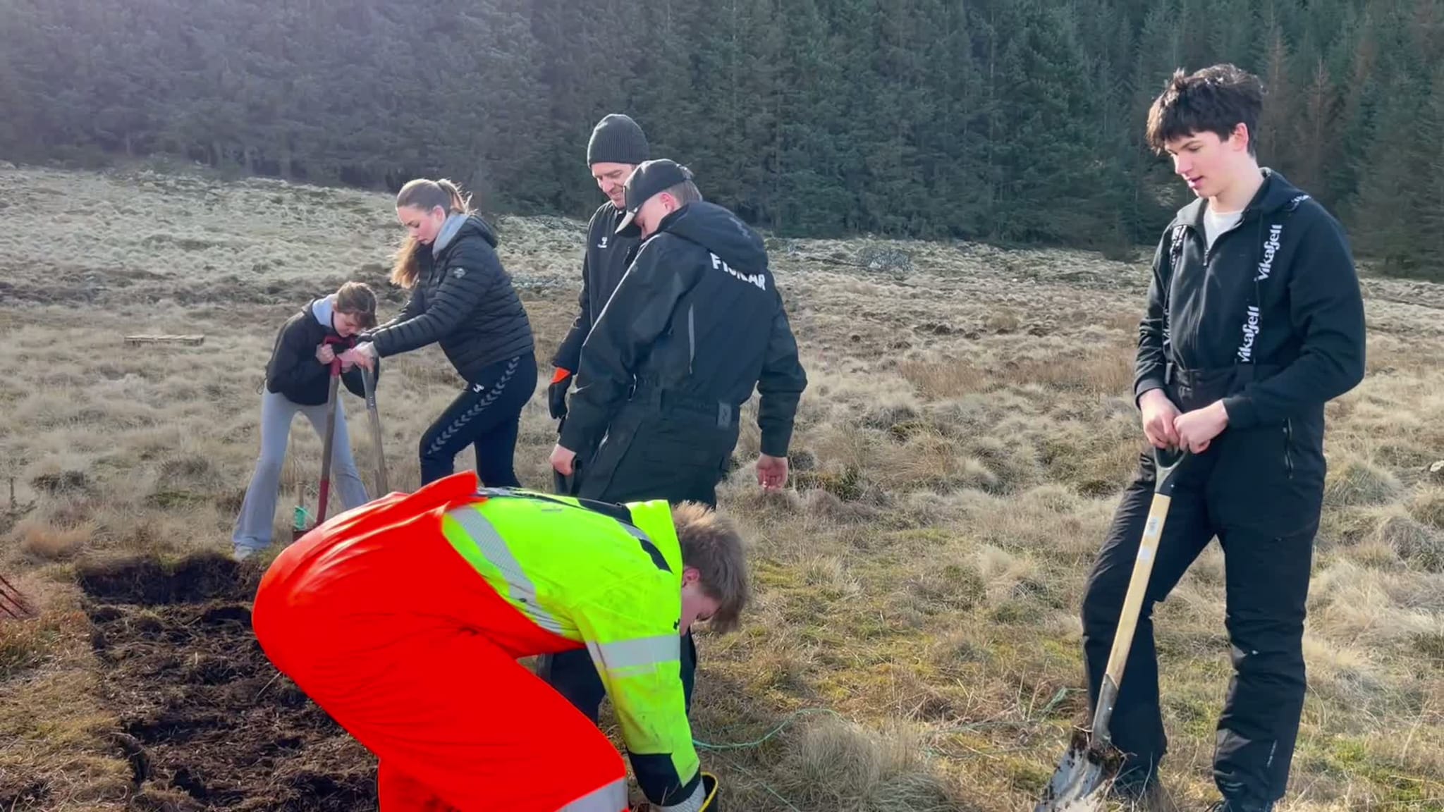 Elevar stikk torv på Flø 
