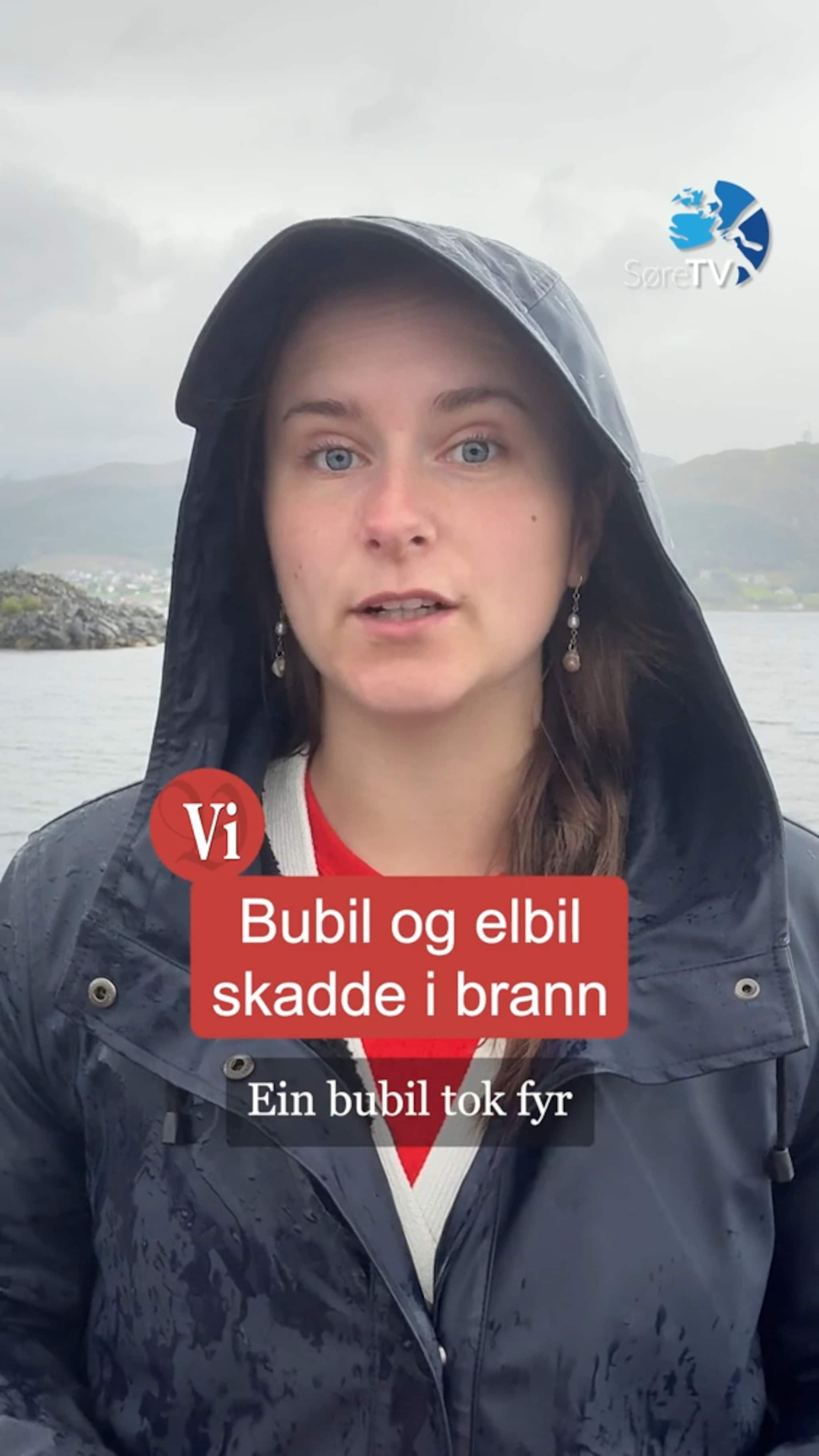 Hjortejakt, brann i bubil og formuesskatt