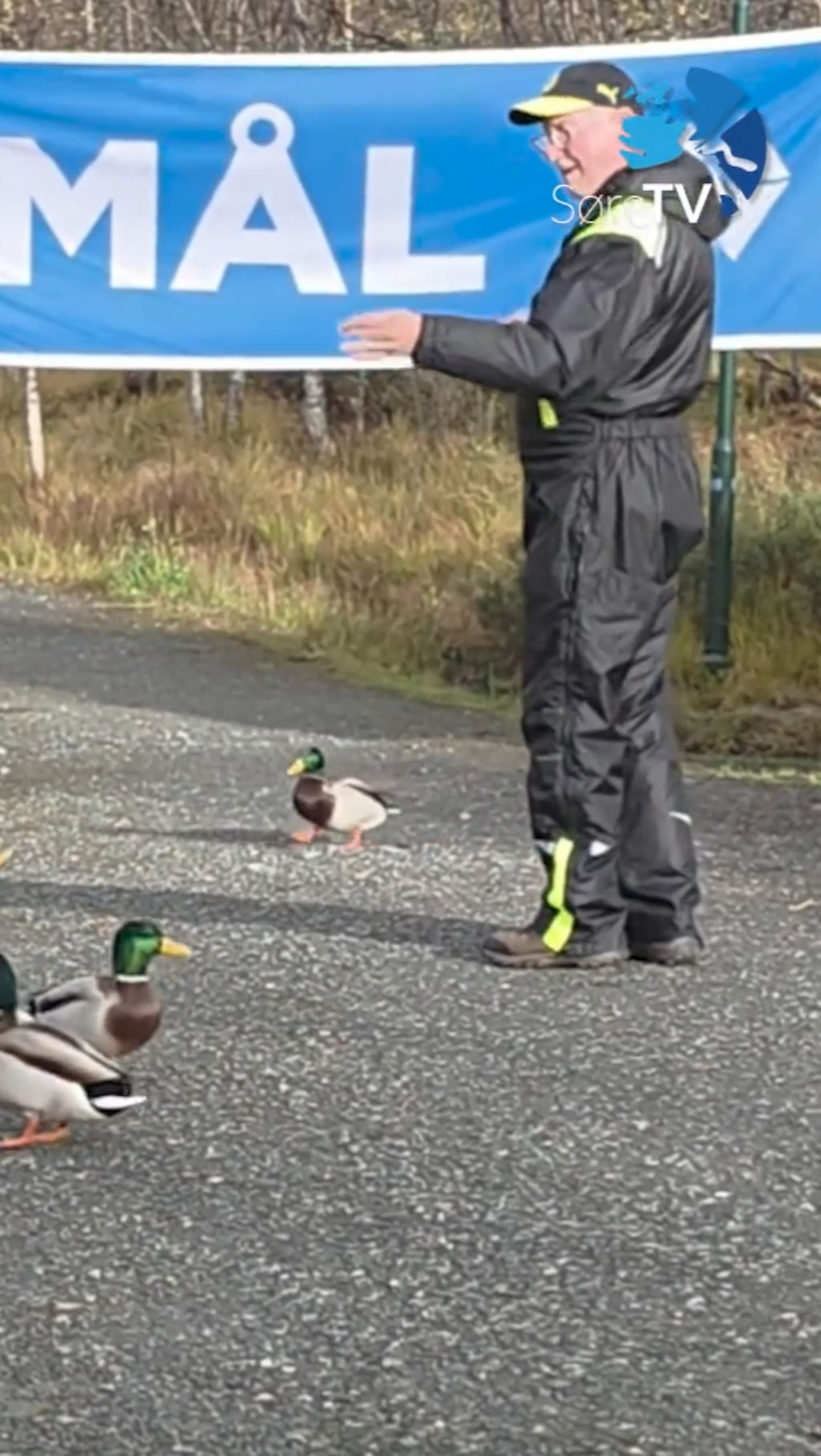 Får endene til å møtast