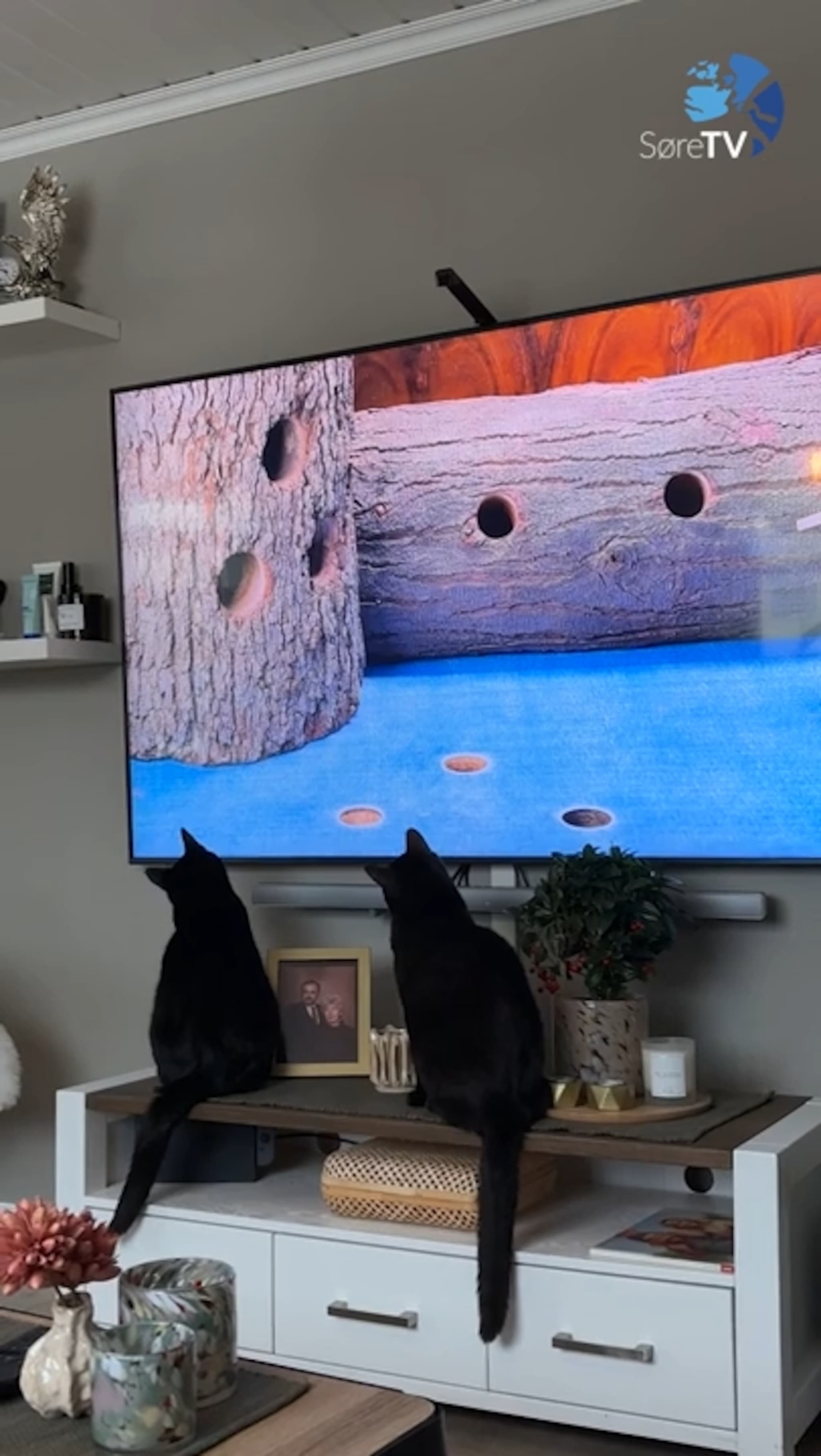 På "fjern-jakt" i stova