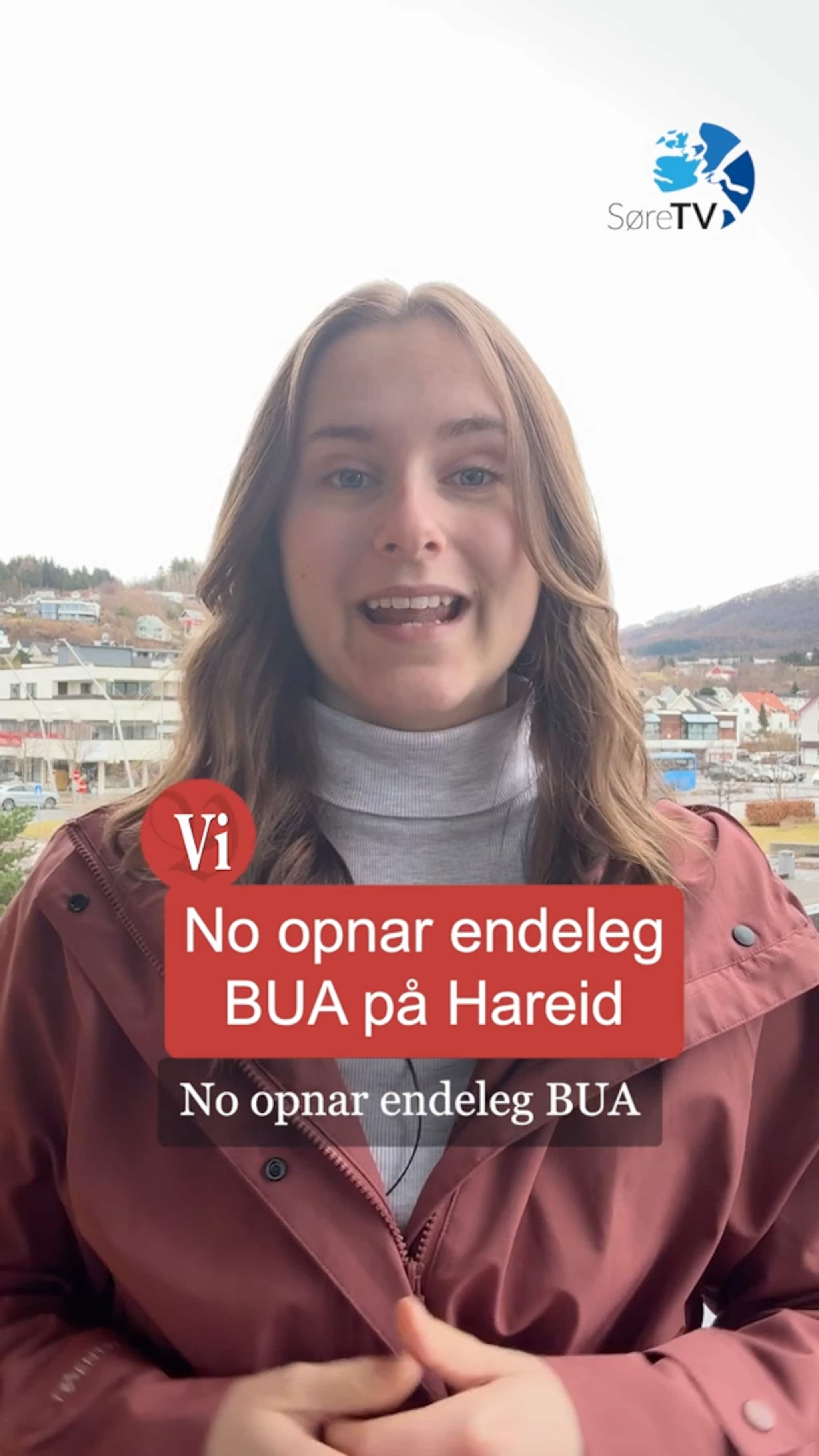 Valdshending, opning og pris