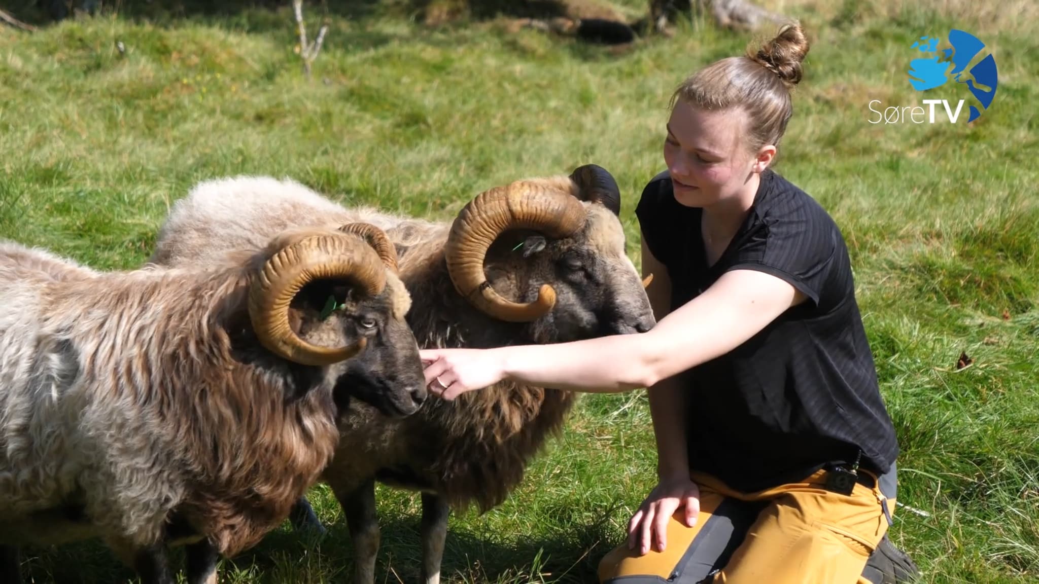 – Det hadde ikkje blitt nokon gard utan familien