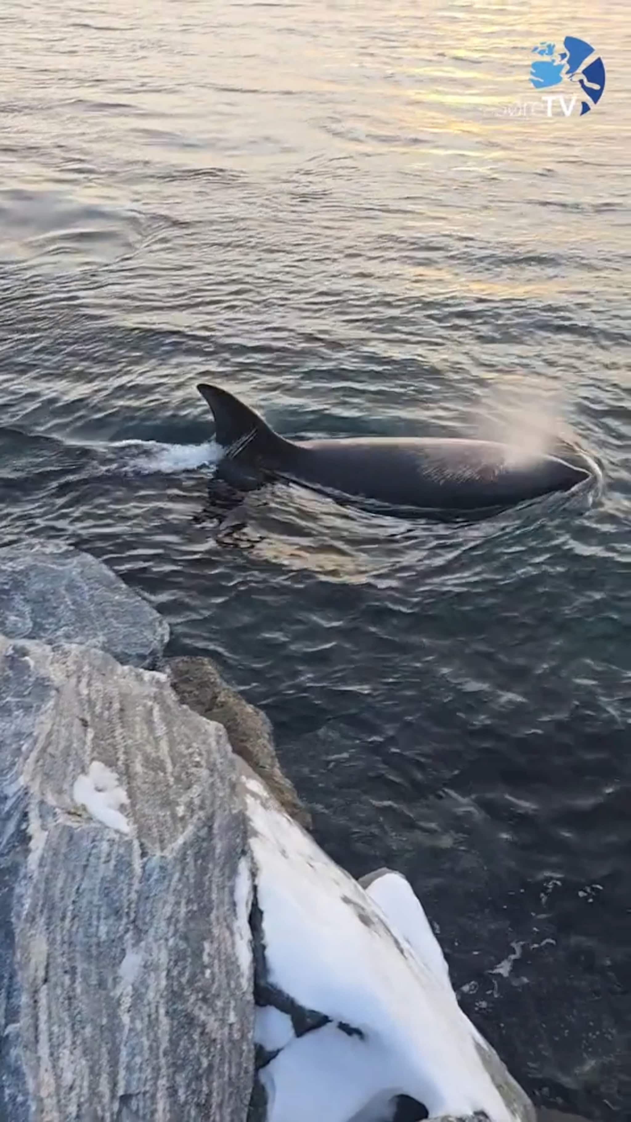 Sjå kor nære dei var