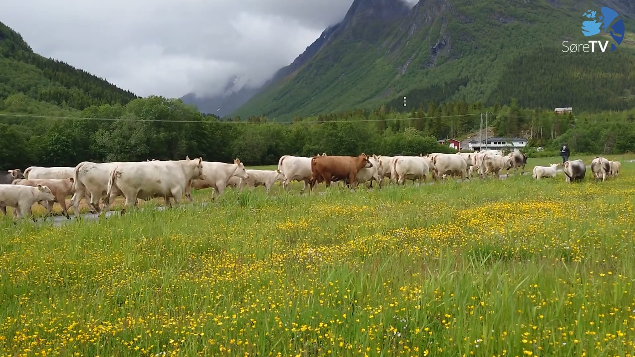 På veg til Øyadalen
