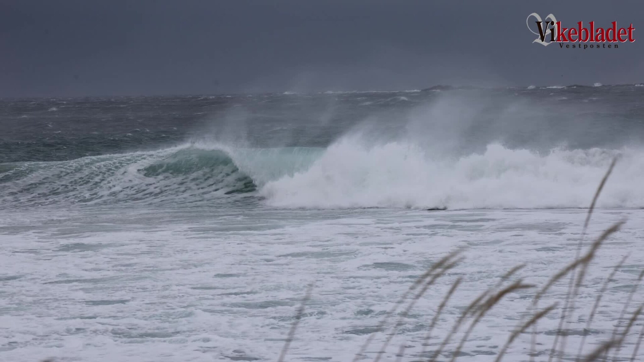 Surfefeber på Flø