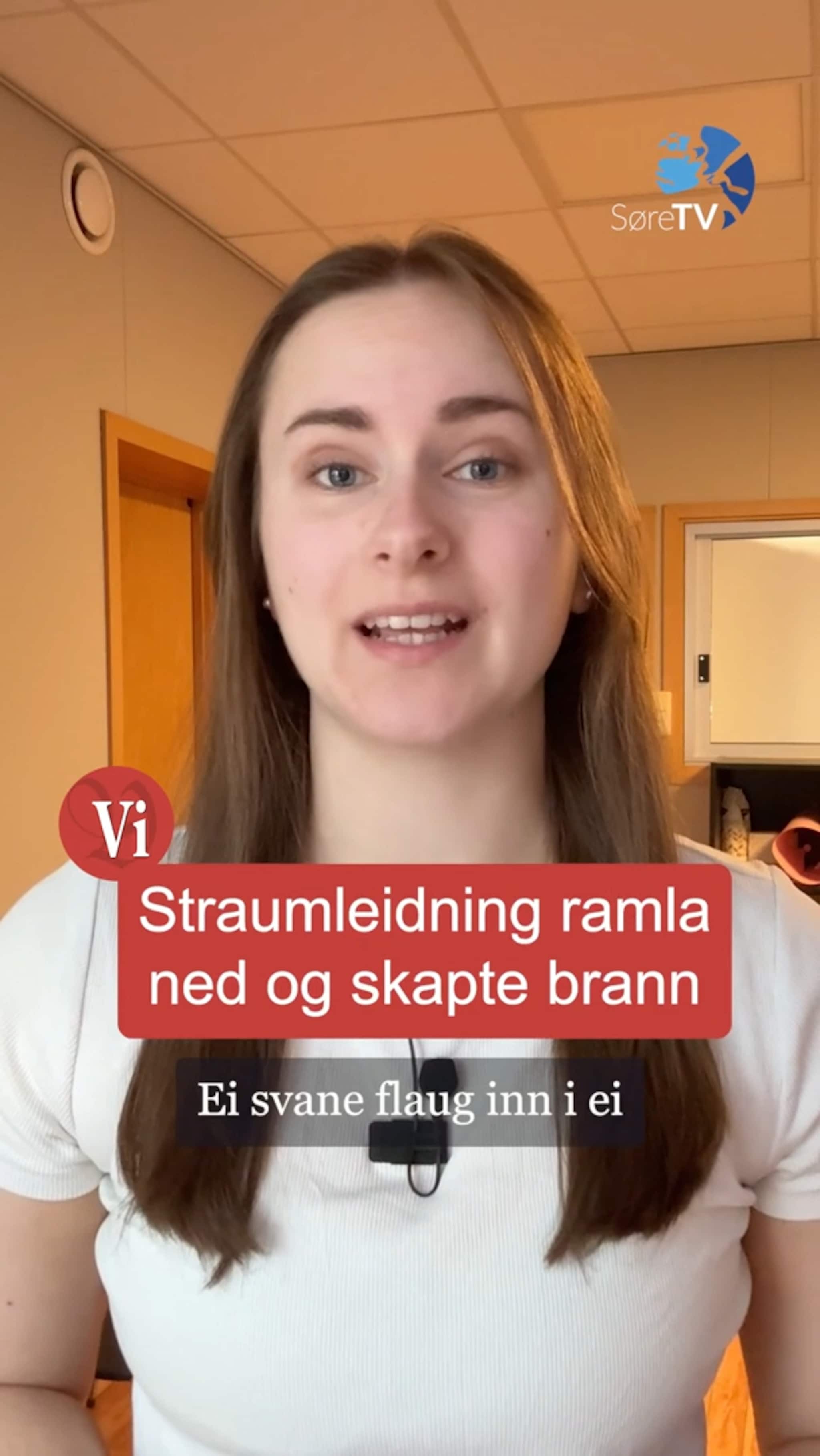 Svanekrasj førte til brann, direktoratet snur og ungkaren gifta seg