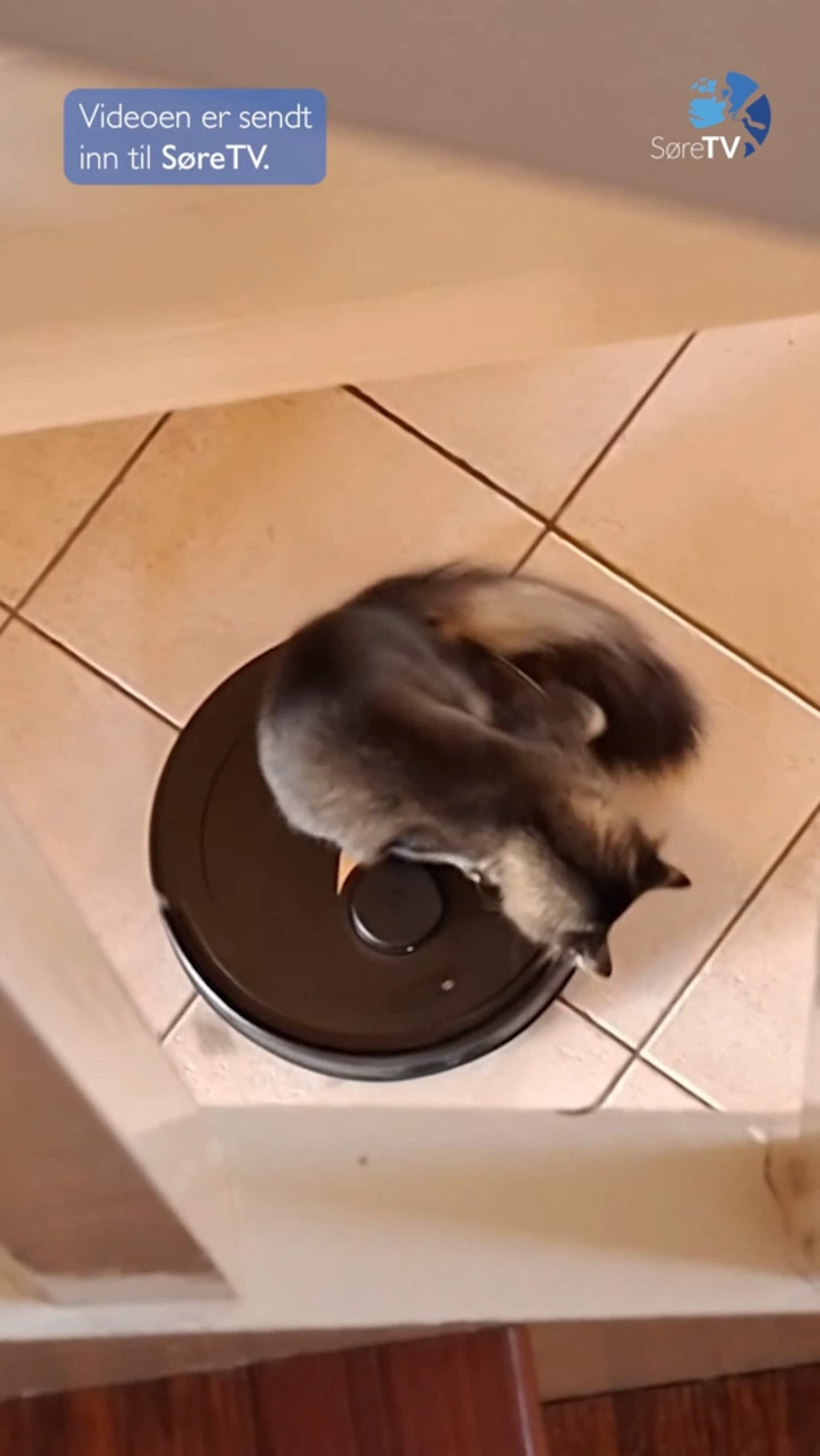 Klara likar spenning