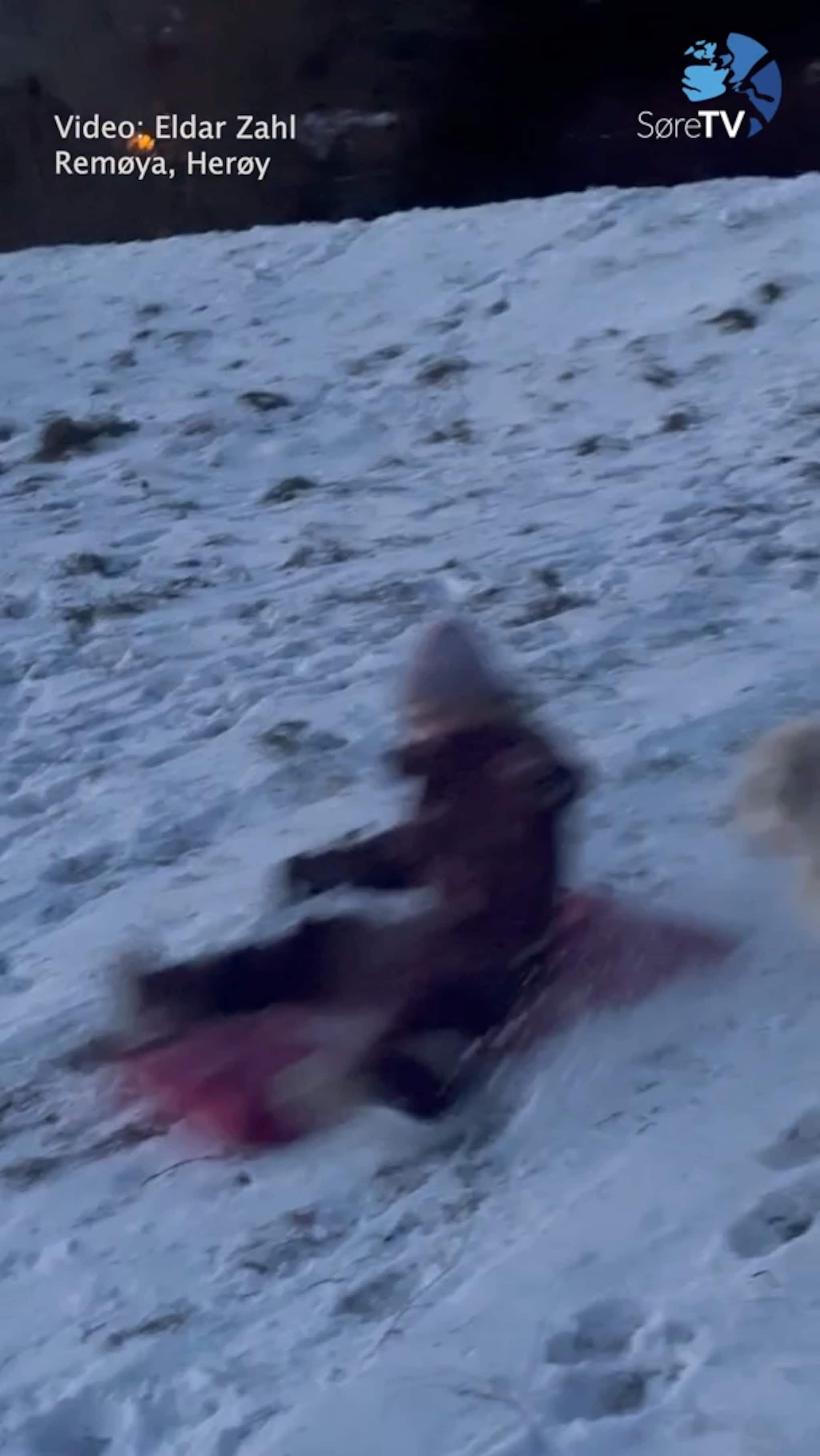 Sjå konkurransen i akebakken