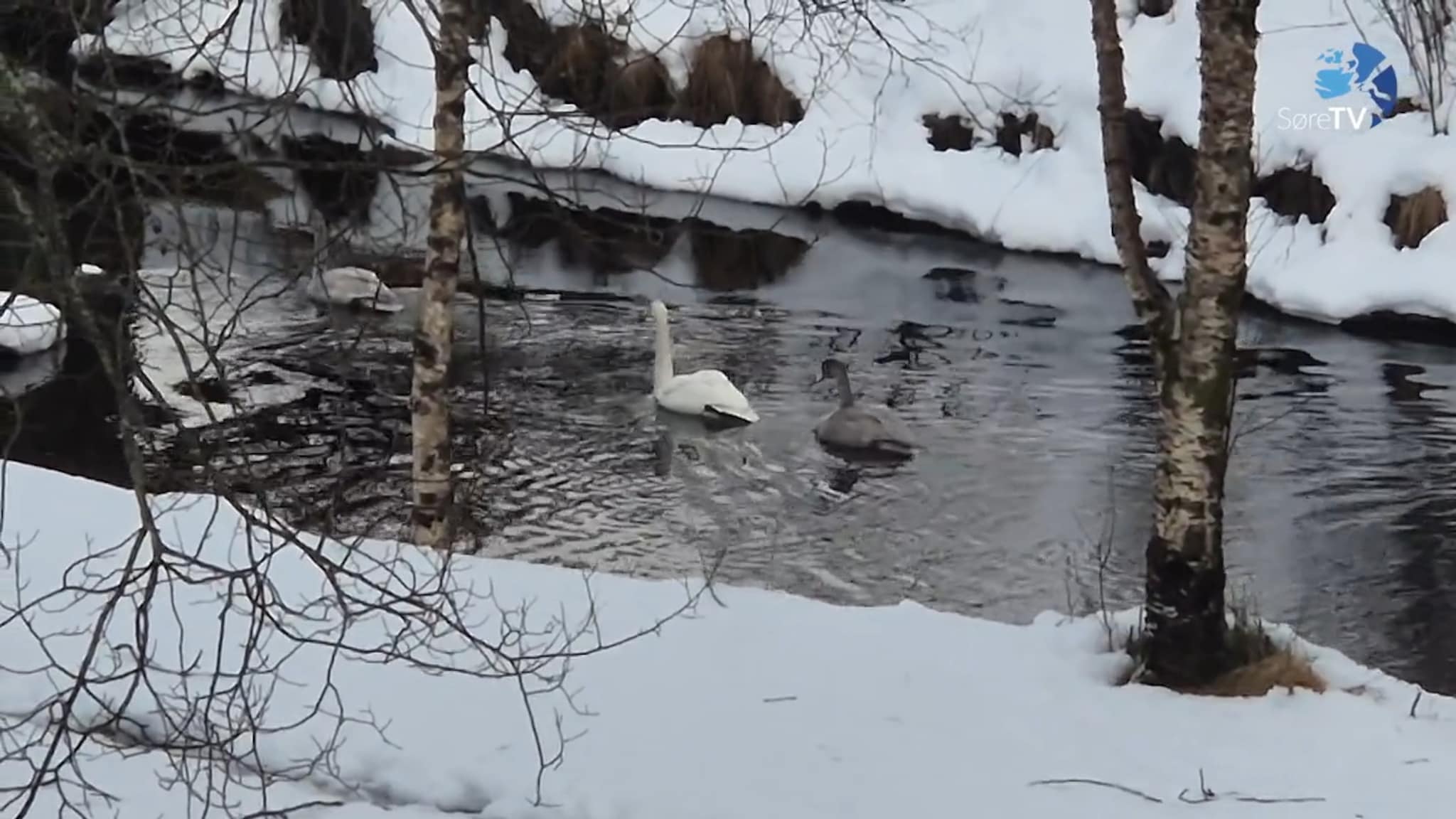 Har god utsikt frå sofaen
