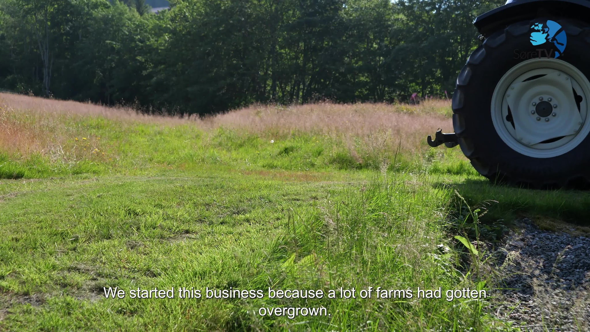 Farm Stories: the rent-a-goat business