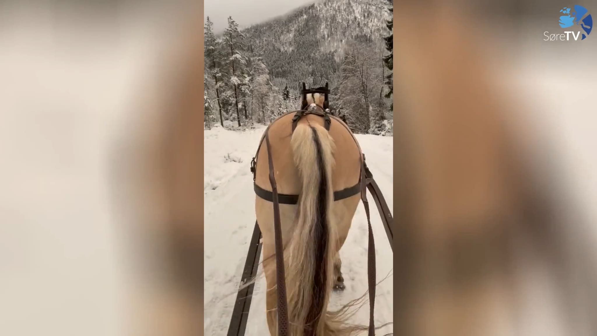 Julestemning i lesarvideoar 2