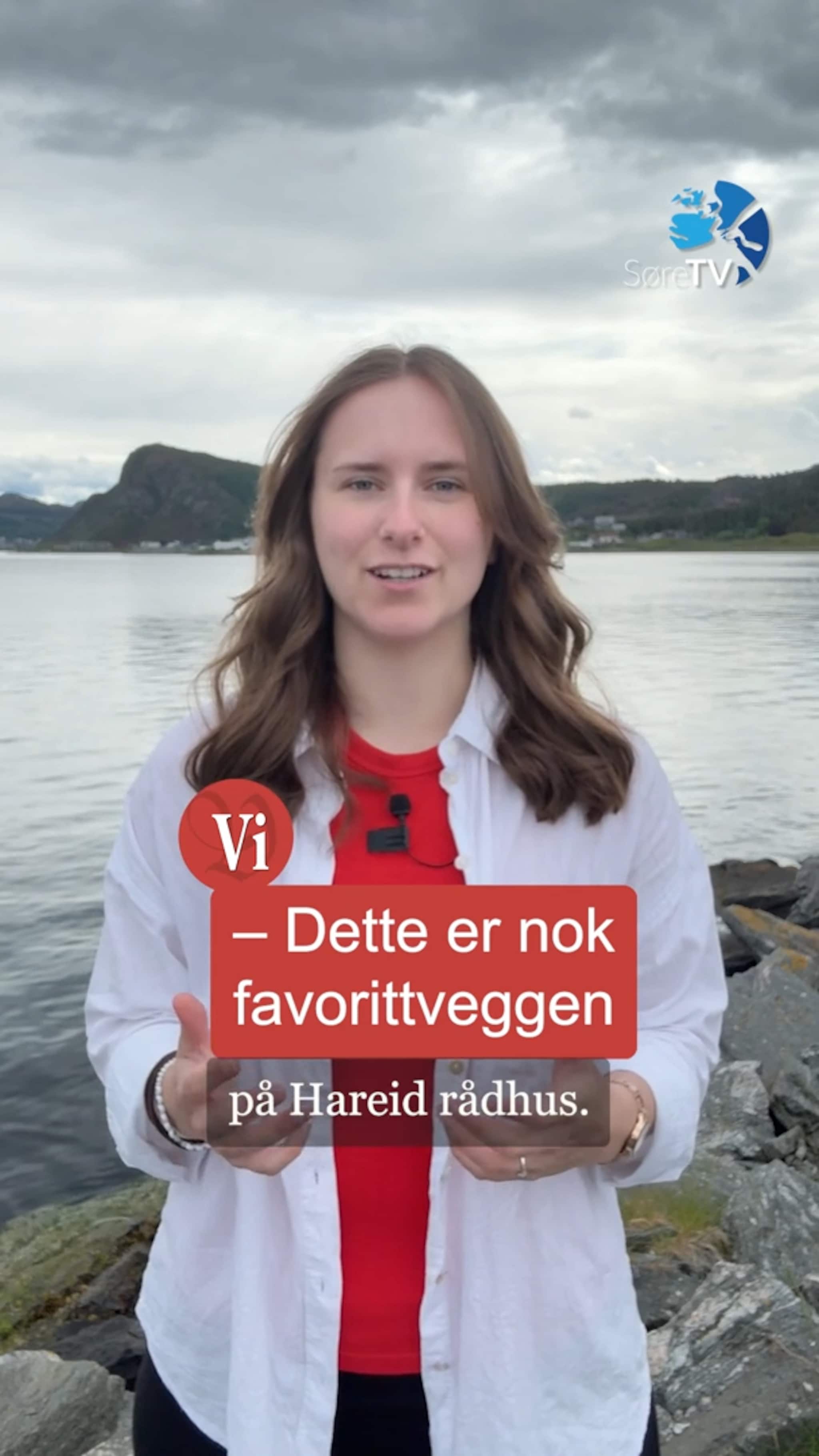 Fargerikt veggmåleri, plenklipping og fastlege