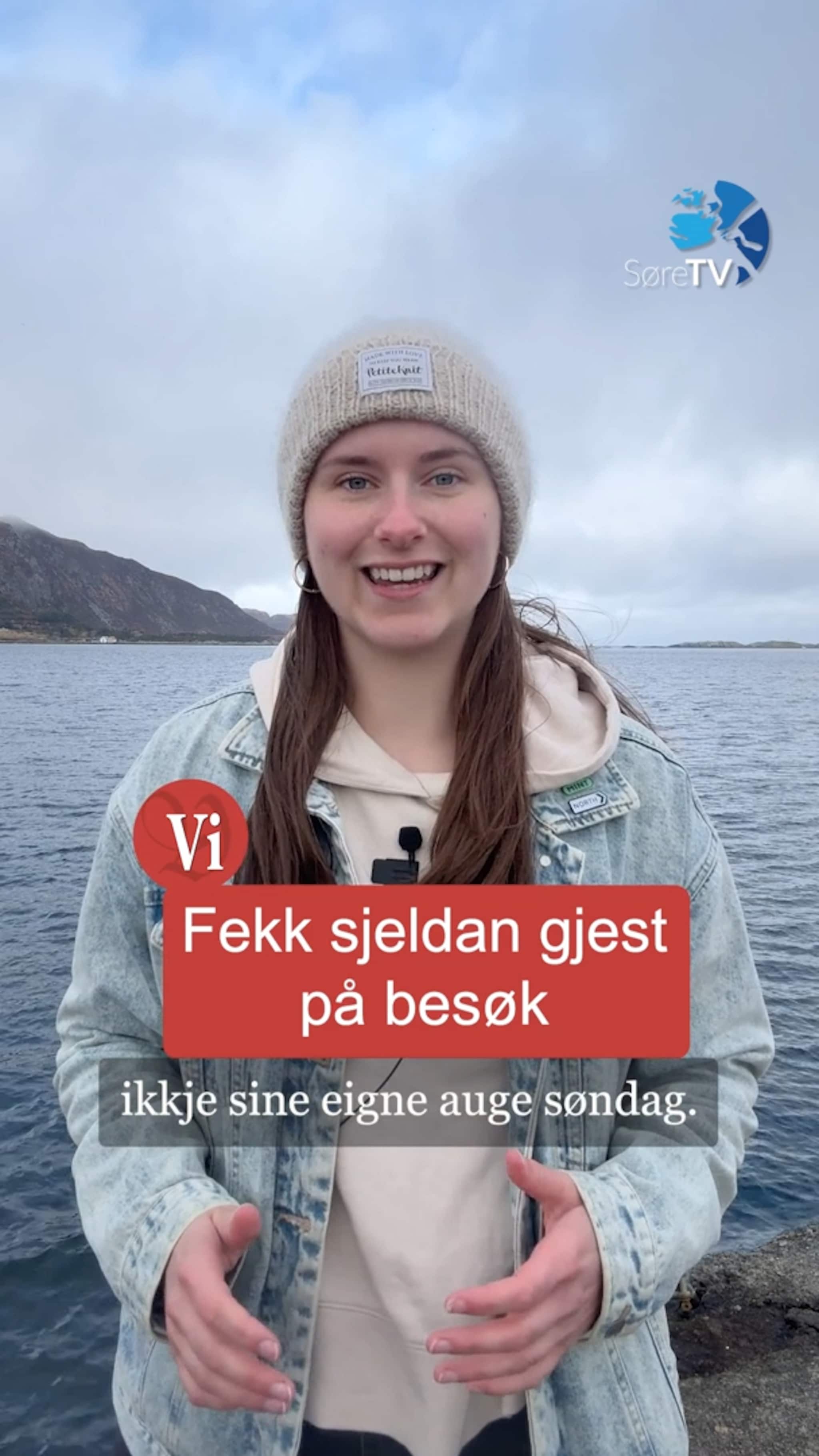 Flyprisauke, mangel på tilfluktsrom og ein sjeldan gjest